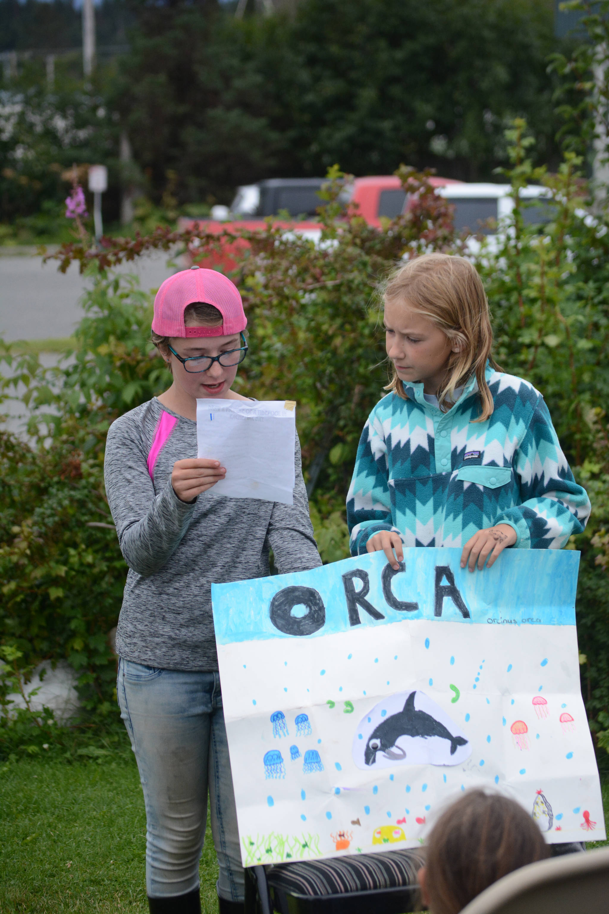 At left, Jillian Tracy, 12, of Palmer, and Caroline Higgins, right, of Philadelphia, do a presentation on orca whales at the end of Marine Mammal Camp on Friday, Aug. 10, 2018, at the Center for Alaskan Coastal Studies in Homer, Alaska. The girls and other camps went to the camp at the Peterson Bay Field Station and then closed with talks on marine mammals. They also articulated a “sea cat,” or lynx, skeleton with bone expert Lee Post. (Photo by Michael Armstrong/Homer News)