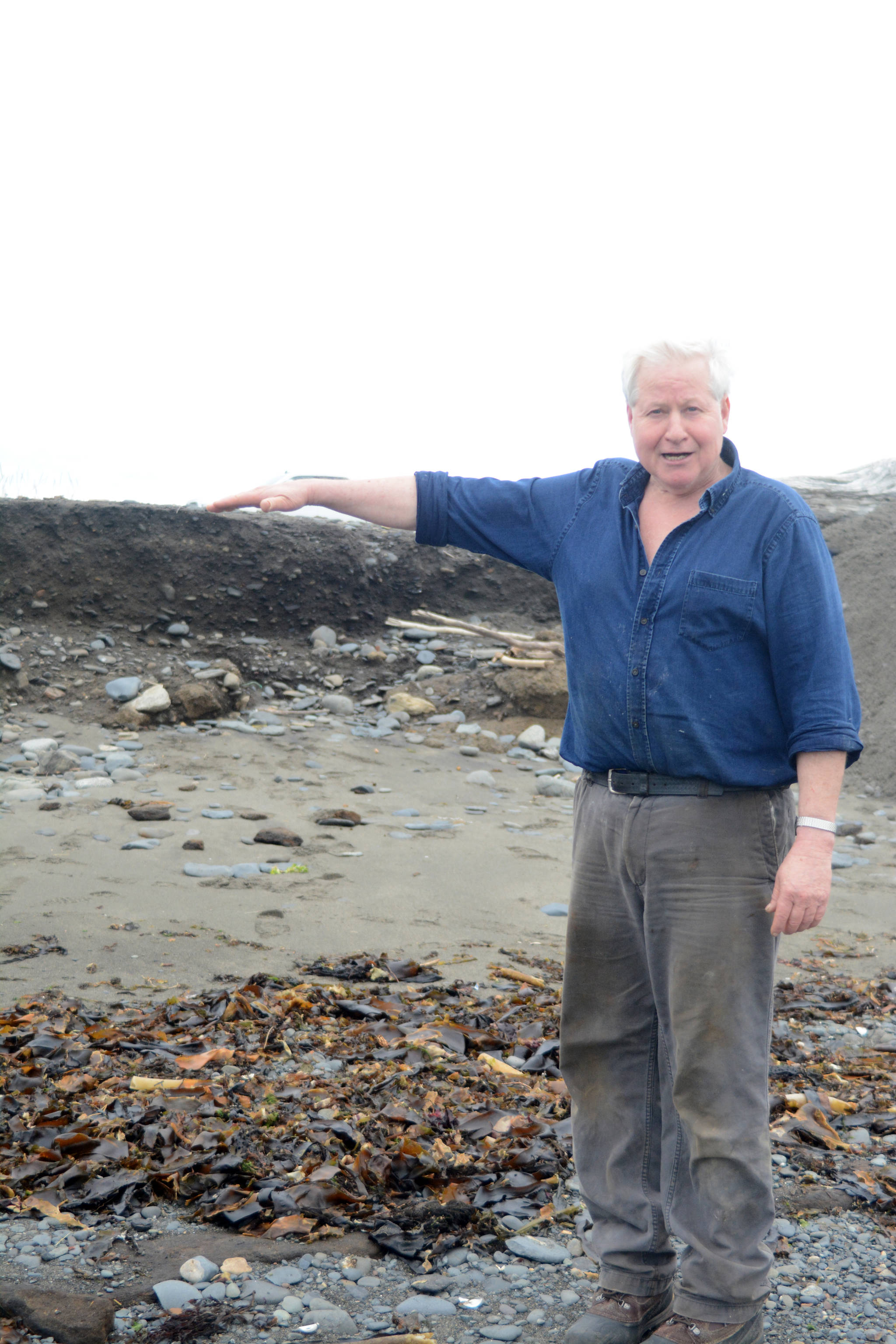 Lee Pedersen, co-owner of the Glacier Drive-In on the Homer Spit, points to the height of beach on Aug. 16, 2018 that eroded last week during a series of storms and high tides in Homer, Alaska. (Photo by Michael Armstrong/Homer News)