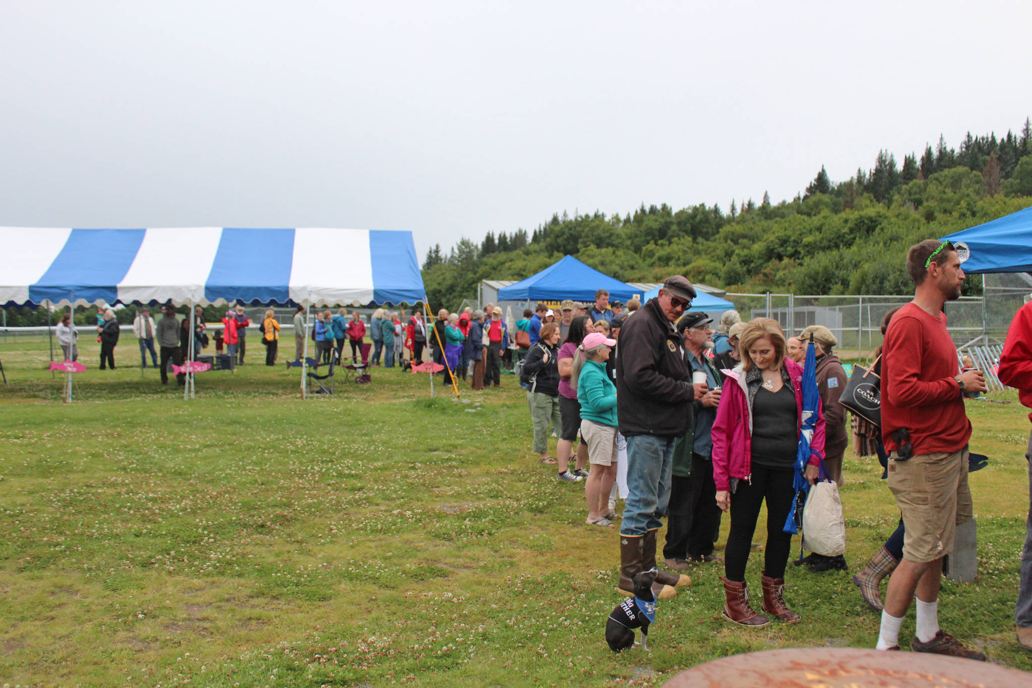Area residents wait in a line that snakes around Karen Hornaday Park for some grilled salmon during a barbecue for Wild Alaska Salmon Day, held Friday, Aug. 10, 2018 at the park in Homer, Alaska. (File Photo by Megan Pacer/Homer News)