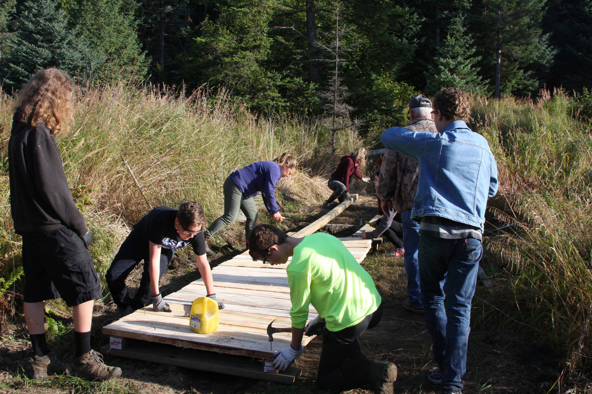 Homer Middle School eighth-grade students construct the eastern loop boardwalk on the middle school trail during the restoration event on Wednesday, Sept. 12, 2018, in Homer, Alaska. (Photo by Delcenia Cosman)