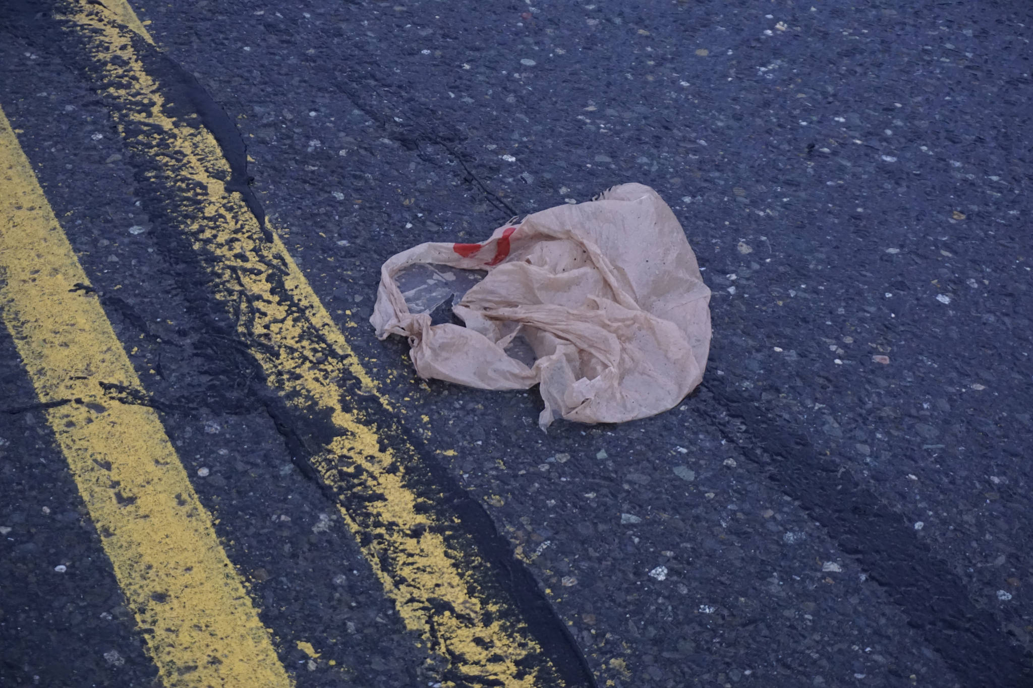 A single-use thin plastic shopping bag lies in the middle of Diamond Ridge Road on Oct. 22, 2018, in Homer, Alaska. The Homer City Council at its meeting Monday passed an ordinance to put on the October 2019 ballot the question of if voters want to ban retailers from giving out single-use plastic bags in Homer. Proponents of the bag ban argue that the bags contribute to litter. (Photo by Michael Armstrong/Homer News)