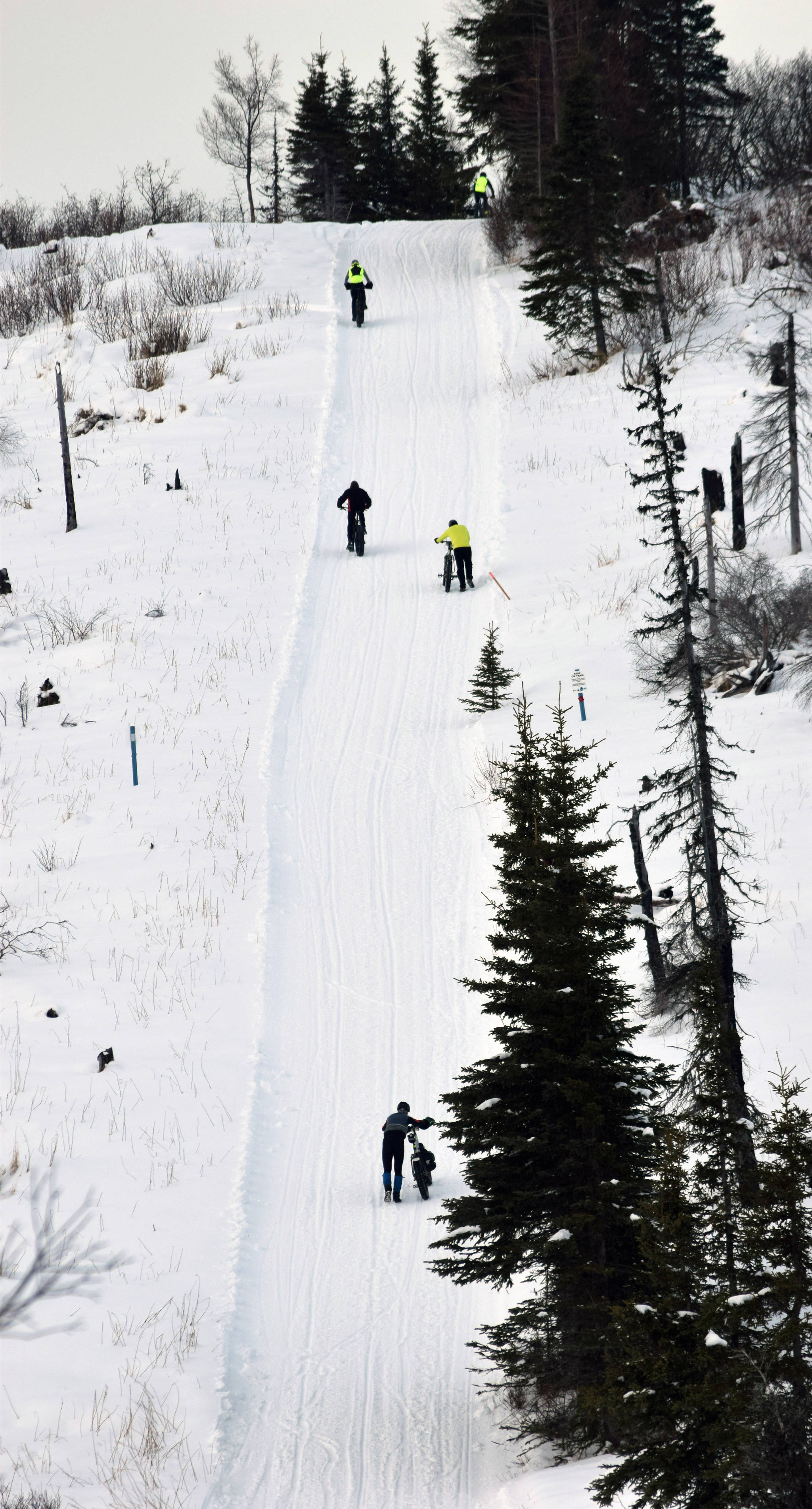 A hill challenges racers during Fat Freddie’s Bike Race and Ramble on Saturday, Feb. 9, 2019, in the Caribou Hills near Freddie’s Roadhouse. (Photo by Jeff Helminiak/Peninsula Clarion)