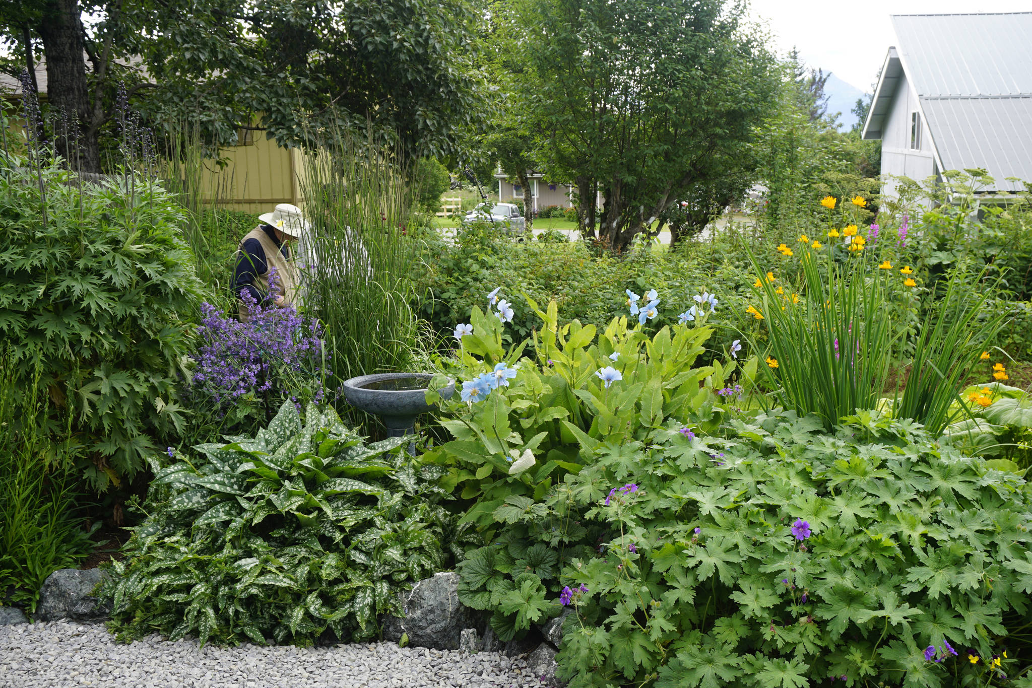 Francie Roberts’ “Everything Garden” includes flower beds, fountains, a vegetable garden and a greenhouse. It was one of five gardens featured in the 2018 Homer Garden Tour. (Photo by Michael Armstrong/Homer News)