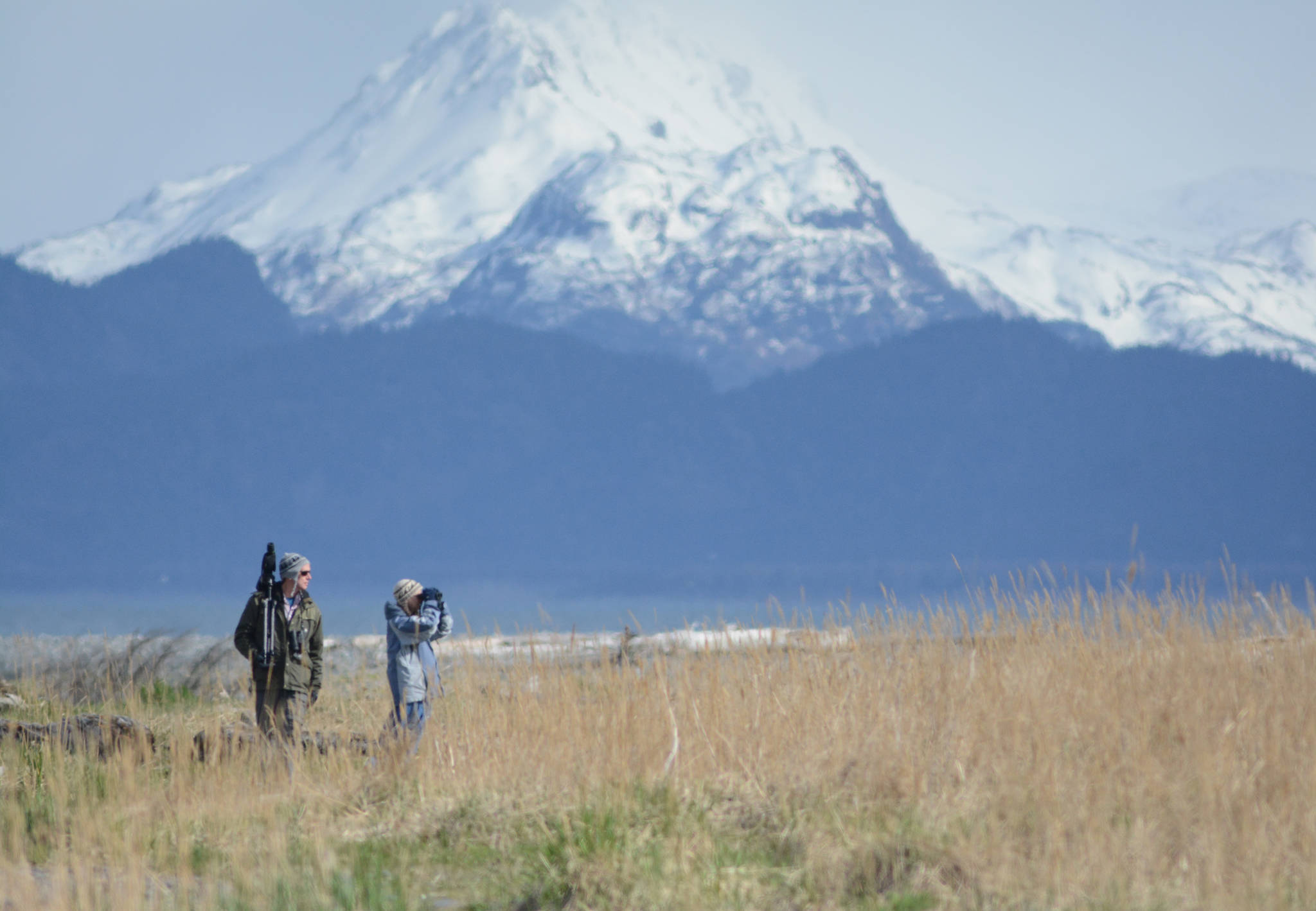 Two birders scan Bishop’s Beach in, May 2018, during the Kachemak Bay Shorebird Festival. (Photo by Michael Armstrong/Homer News)