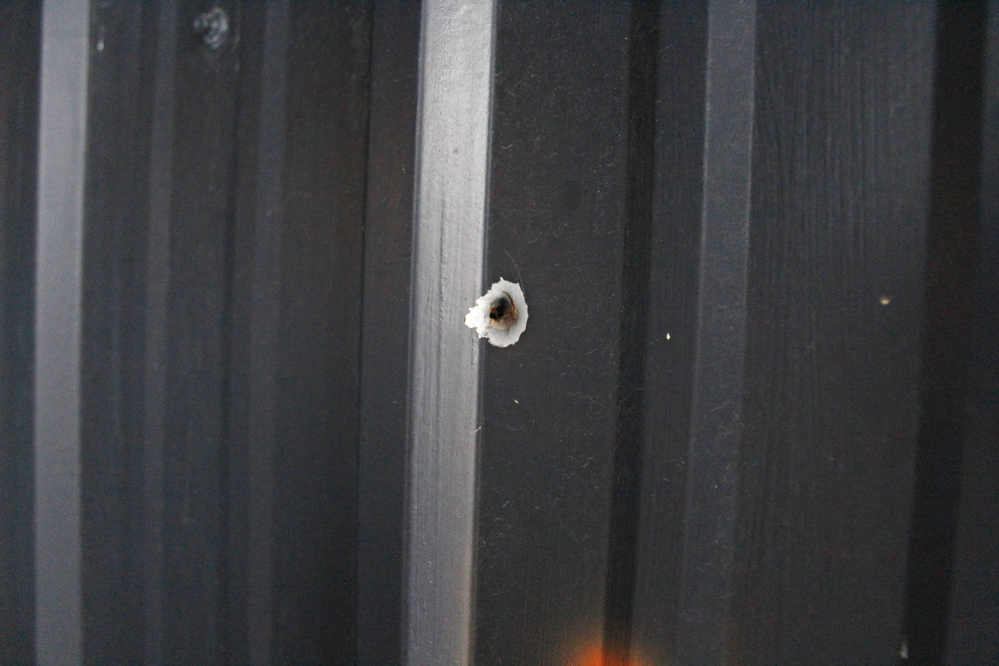 A bullet hole penetrates one of the outside walls of Wasabi’s Bistro from a vandalism incident a few years ago, shown here on Thursday, March 21, 2019 just outside of Homer, Alaska. This is one of several incidents of racist attacks agains the owners of the bistro. (Photo by Megan Pacer/Homer News)