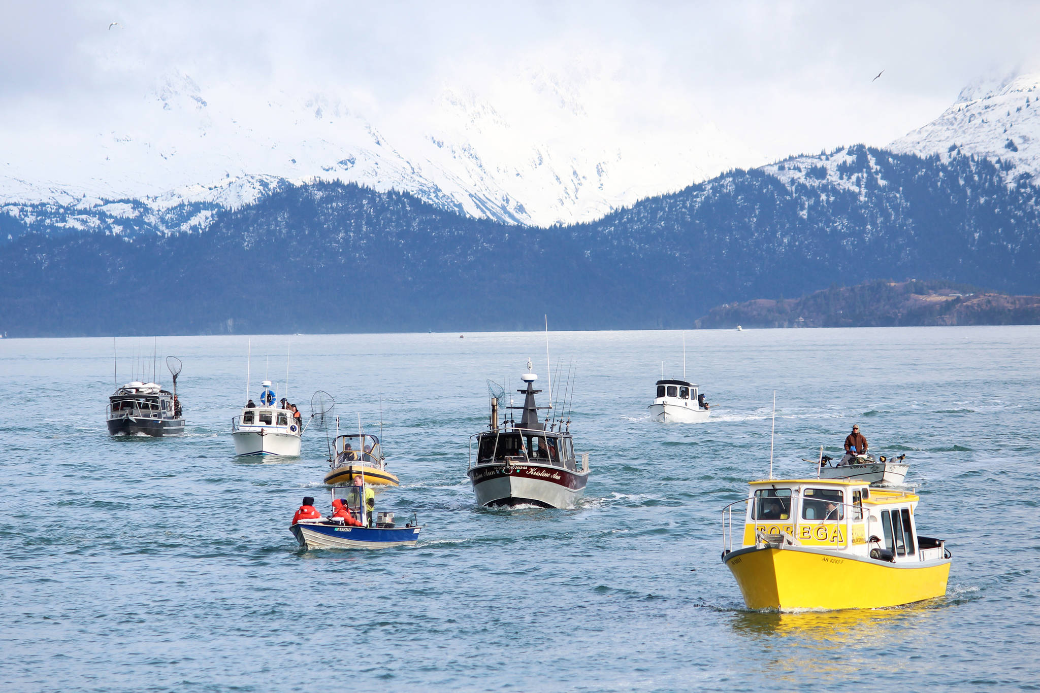 Anglers return in their boats to the Homer Harbor from Kachemak Bay at the end of the Homer Winter King Salmon Tournament held Saturday, March 23, 2019 in Homer, Alaska. (Photo by Megan Pacer/Homer News)