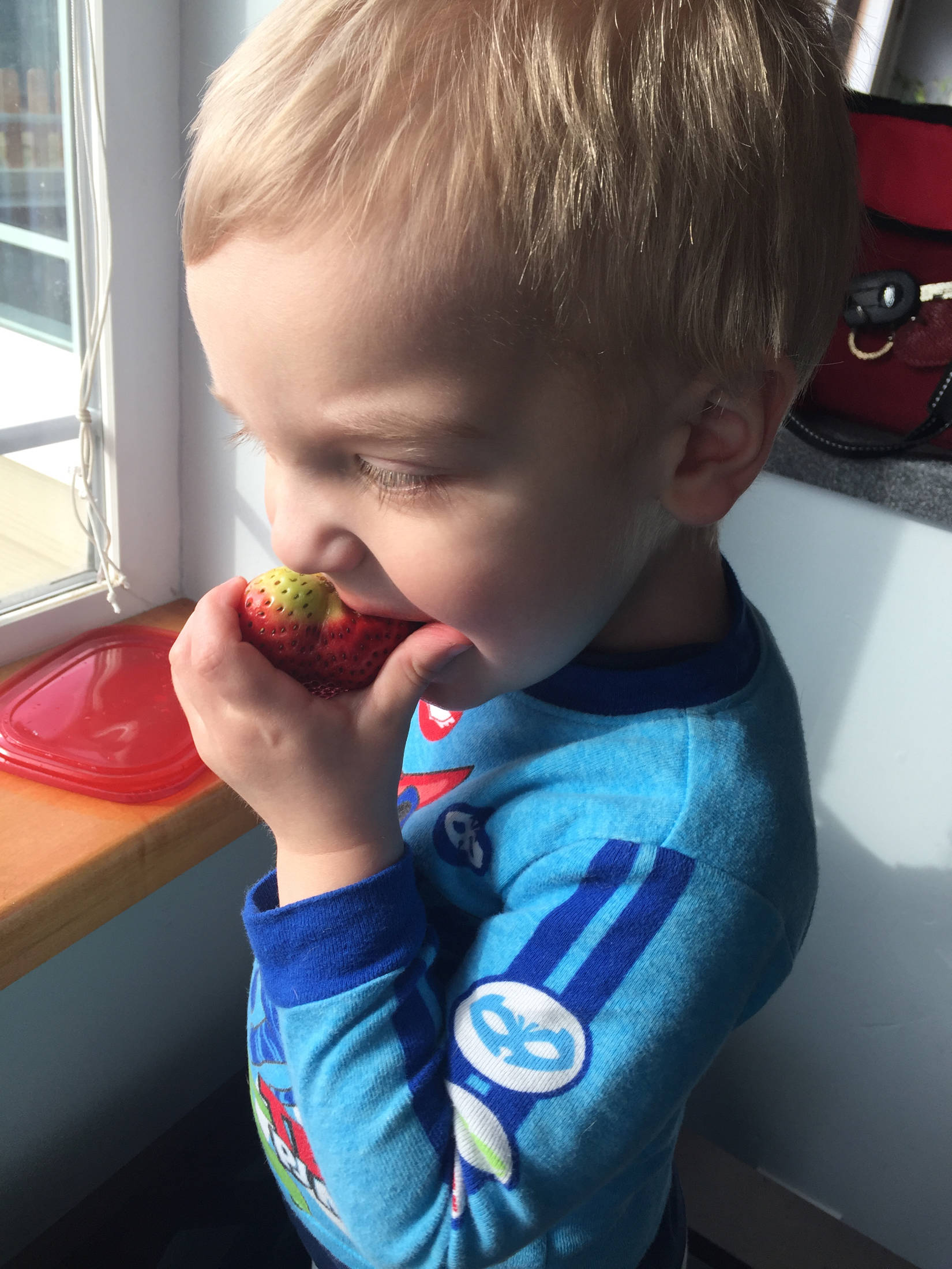 Kase Robl, 2, enjoys a strawberry in Homer, Alaska. (Photo by Teri Robl)
