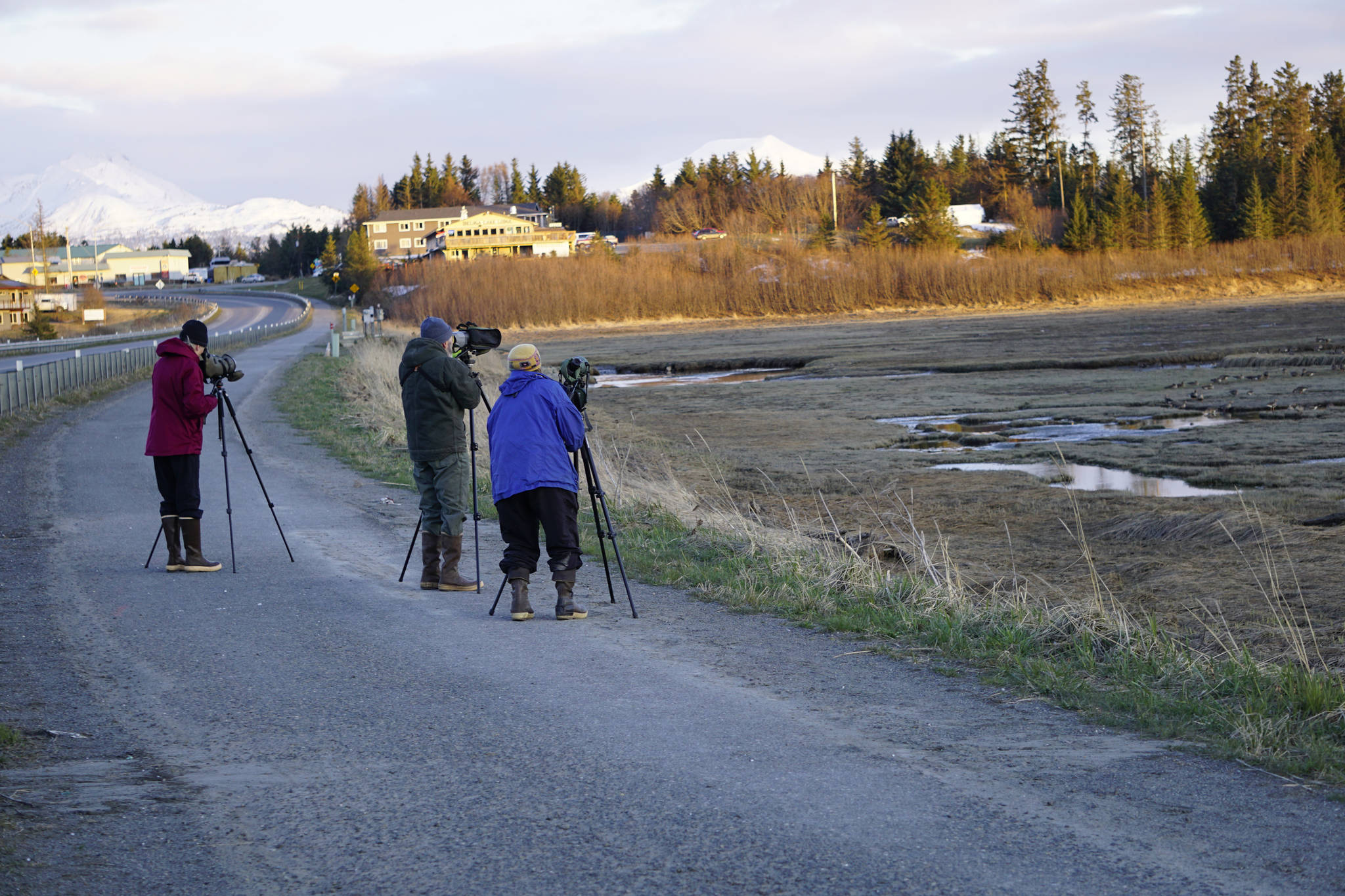 From left to right, Nancy Lord, Dale Chorman and Laurie Daniel look for shorebirds and other birds during a shorebird monitoring session at Beluga Slough on April 23, 2019, in Homer, Alaska. The birders are part of an annual volunteer program to count and track shorebirds and other migrating birds during April and May. In this photo they’re looking at greater white fronted geese and cackling Canada geese that were feeding in the slough. (Photo by Michael Armstrong/Homer News)