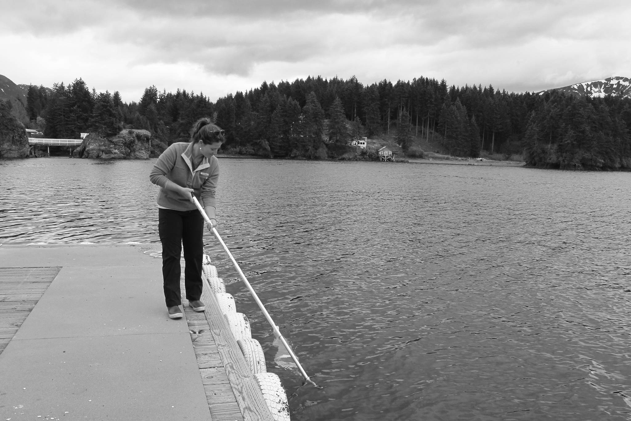 Grace Allan, Kachemak Bay National Estuarine Research Reserve technician, collects a phytoplankton sample on June 7, 2017, in Seldovia, Alaska. (Photo provided)