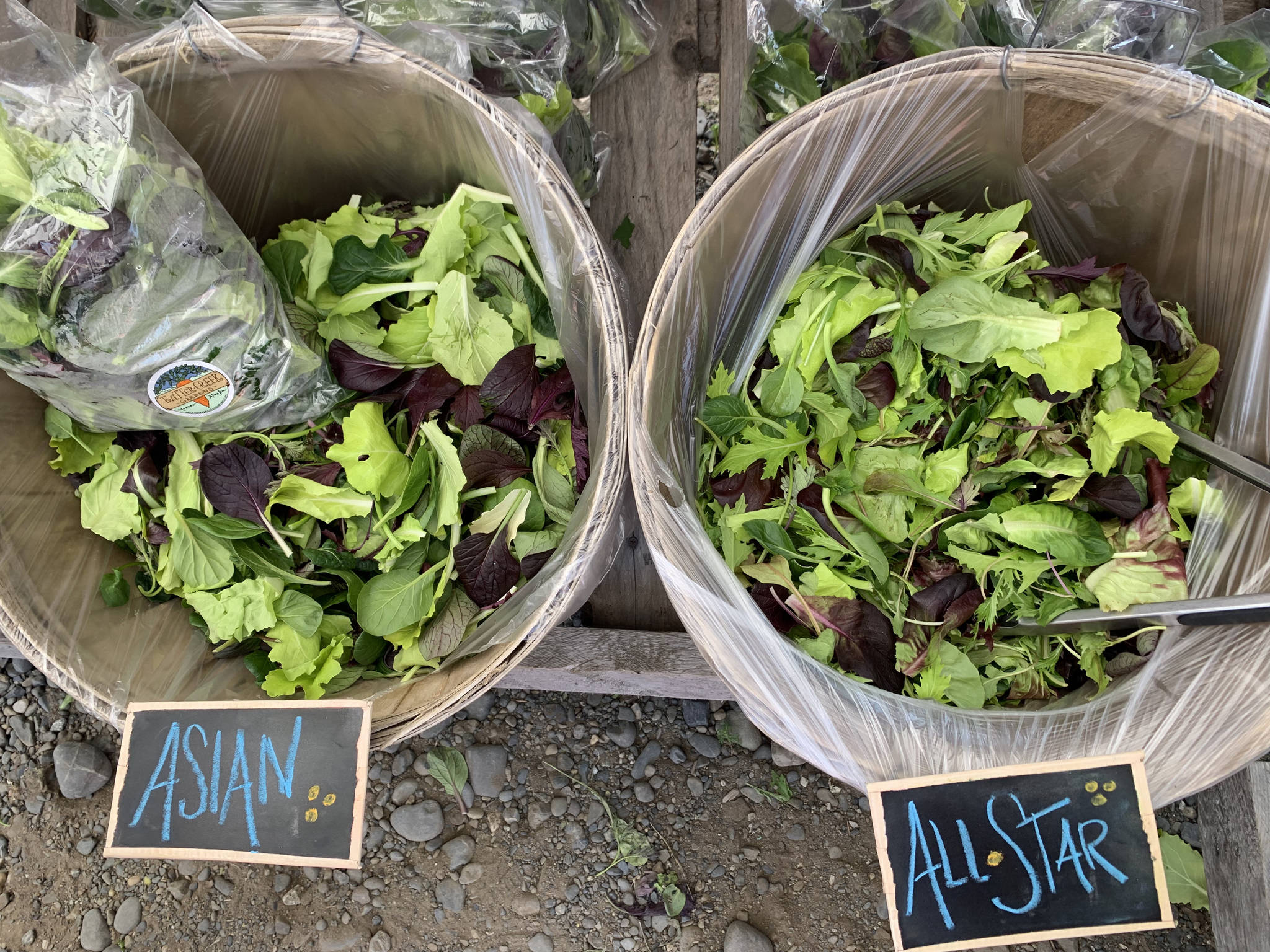 Twitter Creek Gardens offers a variety of fresh salad mixes at the June 29, 2019, Homer Farmers Market in Homer, Alaska. (Photo by Sydney Leto)