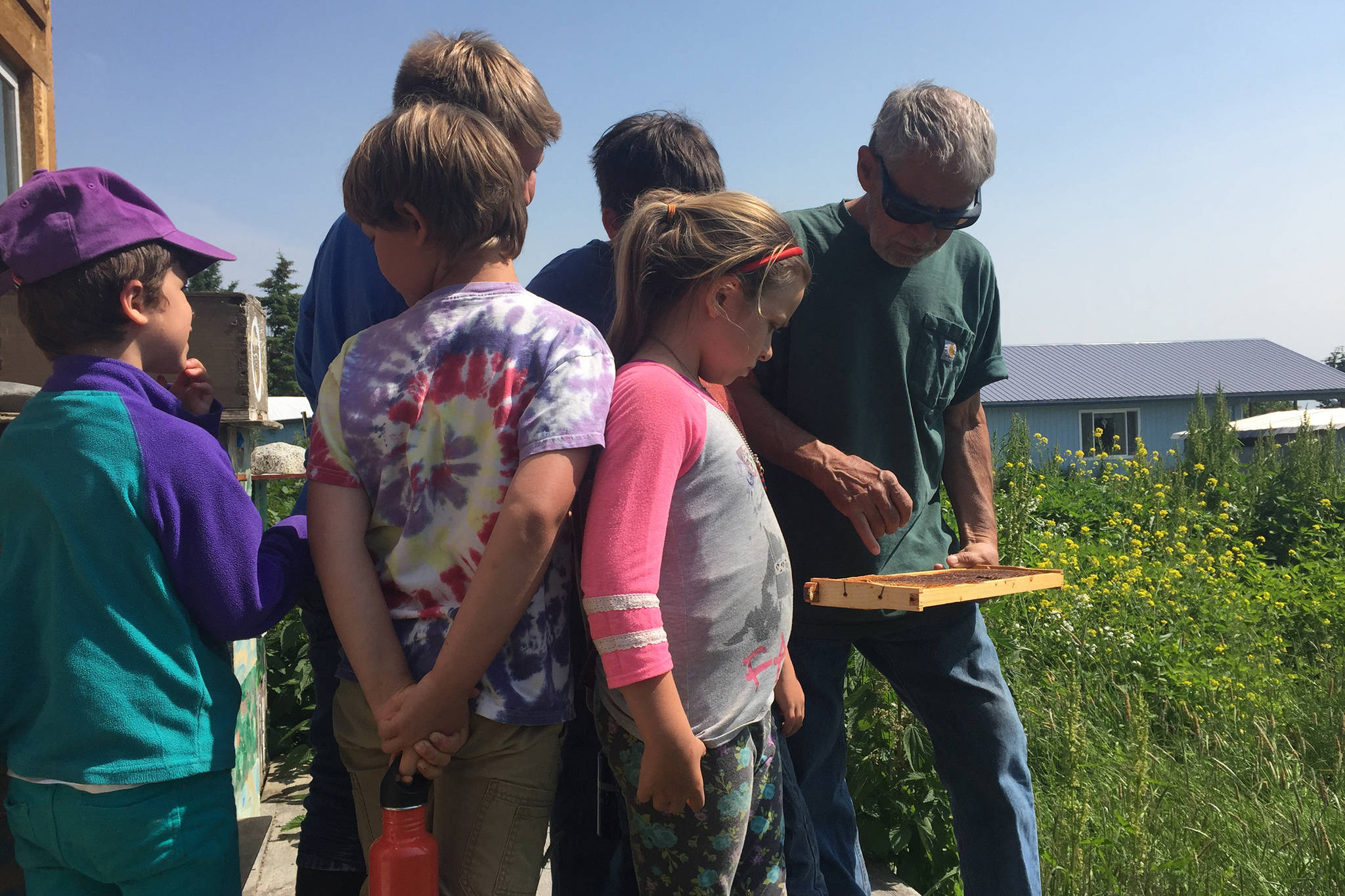 Rob Lund, right, shows a beehive to children on a Center for Alaskan Coastal Studies field trip on June 30, 2019, in Homer, Alaska. (Photo provided)