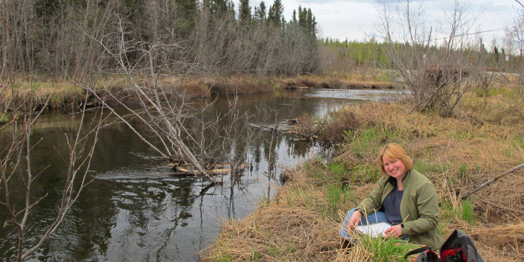 A Cook Inletkeeper volunteer does stream monitoring of Fish Creek, Alaska, in this 2011 file photo. (Photo provided/Cook Inletkeeper)