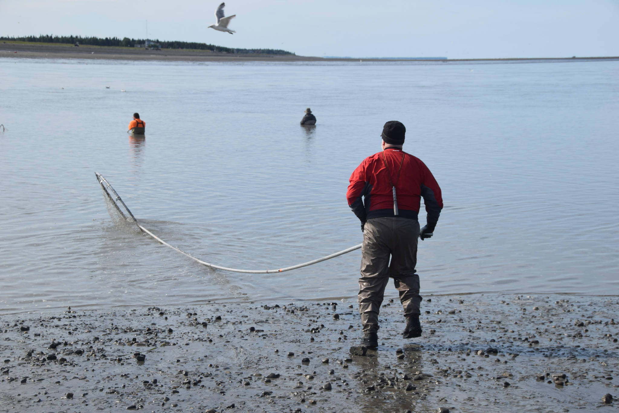 John Hakla from Eagle River heads back into the water while dipnetting on the North Kenai Beach on Wednesday, July 17, 2019. (Photo by Brian Mazurek/Peninsula Clarion)
