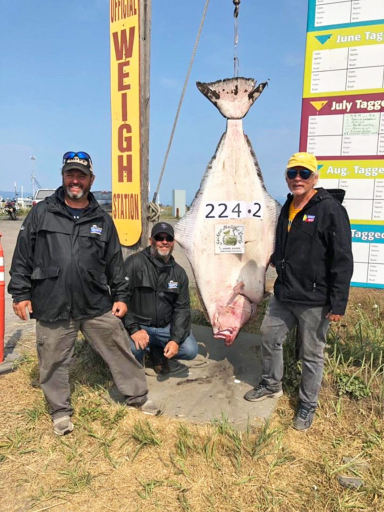 North Dakota man takes lead in Jackpot Halibut Derby Homer News
