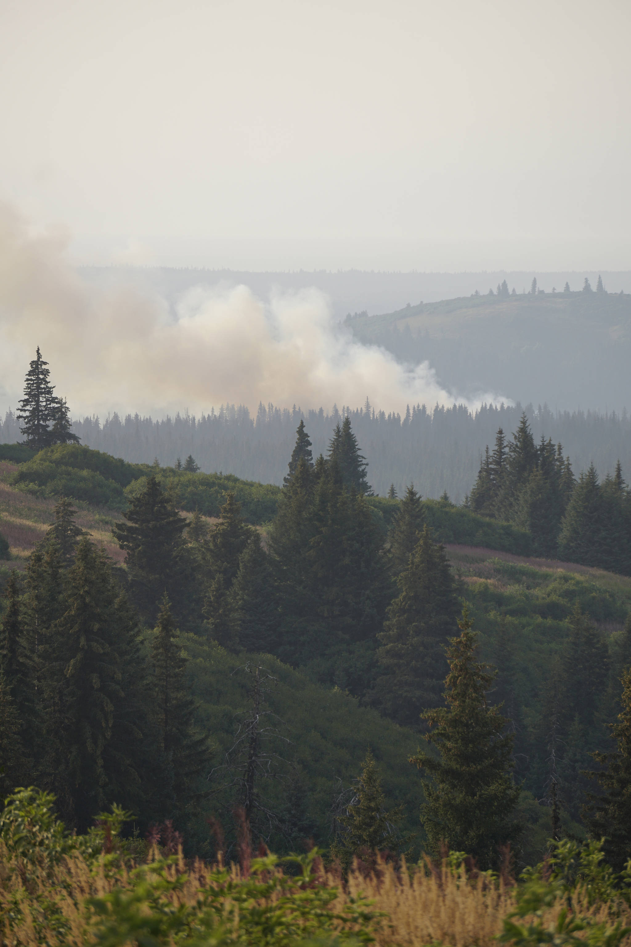 The North Fork fire burns near the south end of the North Fork Road on Sunday evening, Aug. 18, 2019, near Homer, Alaska, as seen from Diamond Ridge Road. (Photo by Michael Armstrong/Homer News)