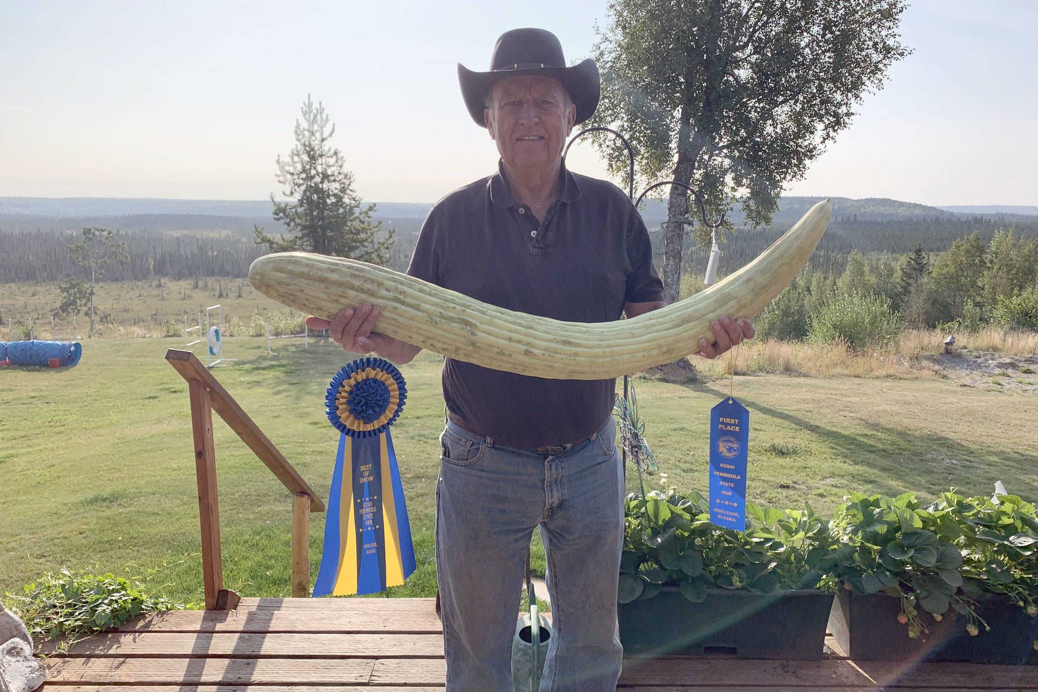 Soldotna, Alaska, resident Richard Link and his prize-winning Armenian cucumber are seen here in this August 2019 photo. The 14-pound, 37 3/8-inch cucumber took home grand prize at the 2019 Alaska State Fair. (Courtesy Ludy Link)
