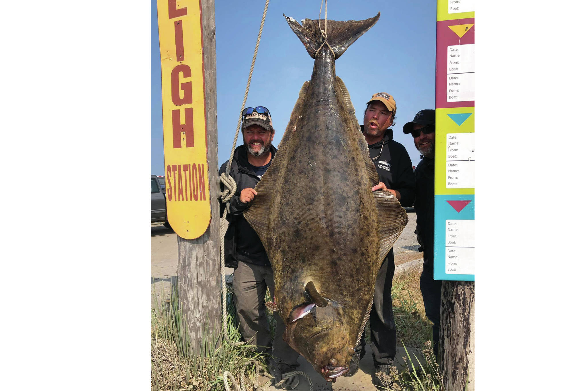 Homer Jackpot Halibut Derby winner Jason Schuler, left, of Wahpeton, North Dakota, poses with his 224.2-pound fish on July 12, 2019, in Homer, Alaska. To the right of the fish is Captain Daniel Donich of Daniel’s Personalized Guide Service. Schuler caught the fish on Donich’s boat, the Optimist. (Photo provided)