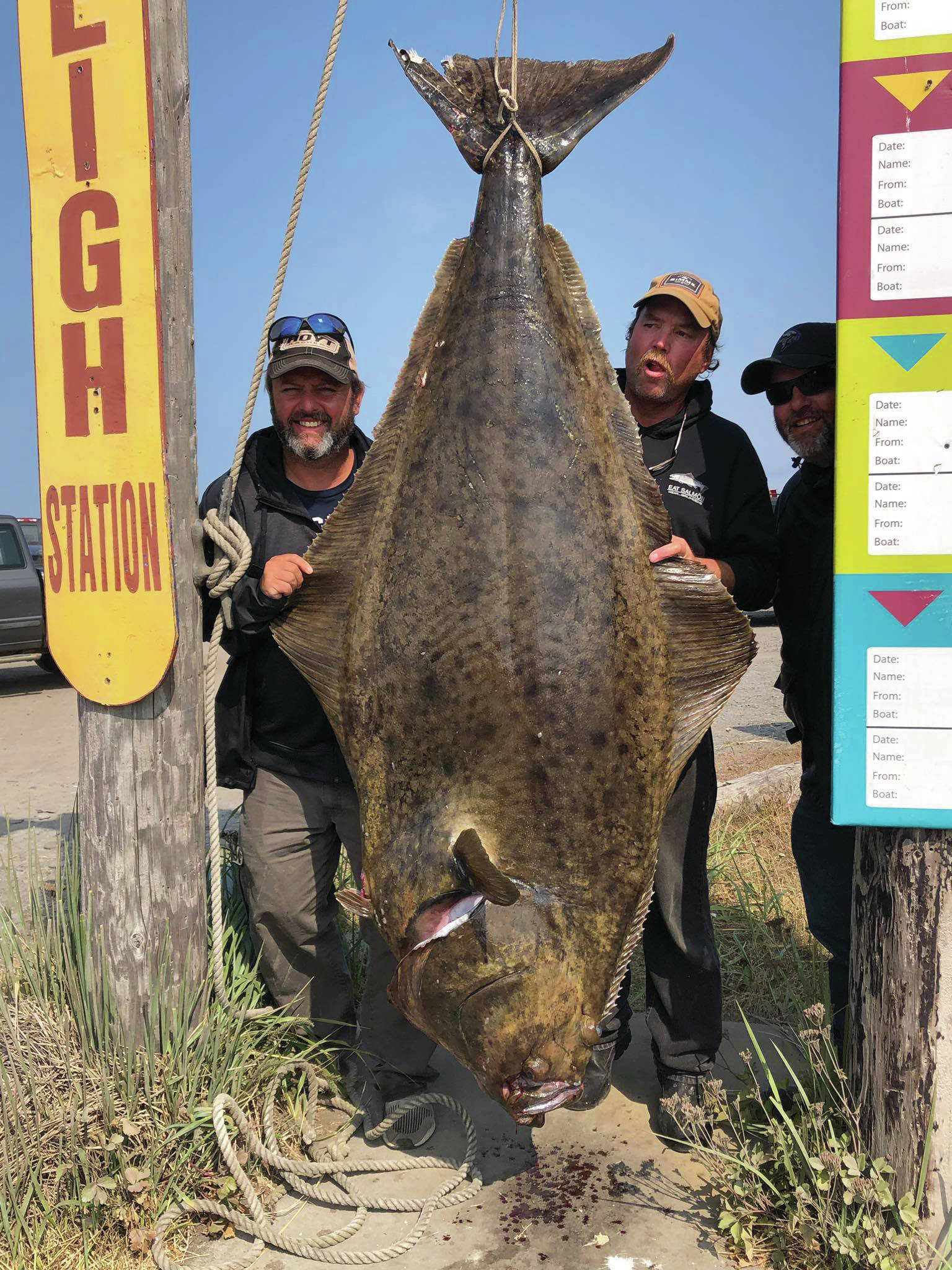 Homer Jackpot Halibut Derby winner Jason Schuler, left, of Wahpeton, North Dakota, poses with his 224.2-pound fish on July 12, 2019, in Homer, Alaska. To the right of the fish is Captain Daniel Donich of Daniel’s Personalized Guide Service. Schuler caught the fish on Donich’s boat, the Optimist. (Photo provided)