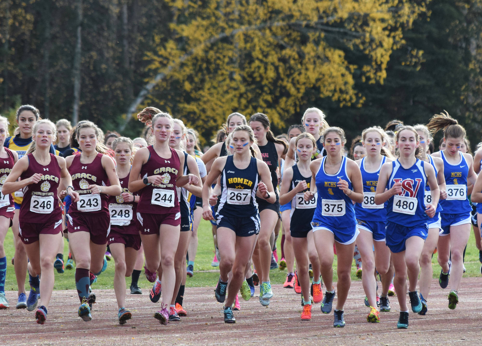 Homer’s Autumn Daigle (267) leads the field from the start in the Div. II girls state cross-country championships Saturday, Oct. 5, 2019, on the Bartlett High trails in Anchorage, Alaska. (Photo by Joey Klecka/Peninsula Clarion)