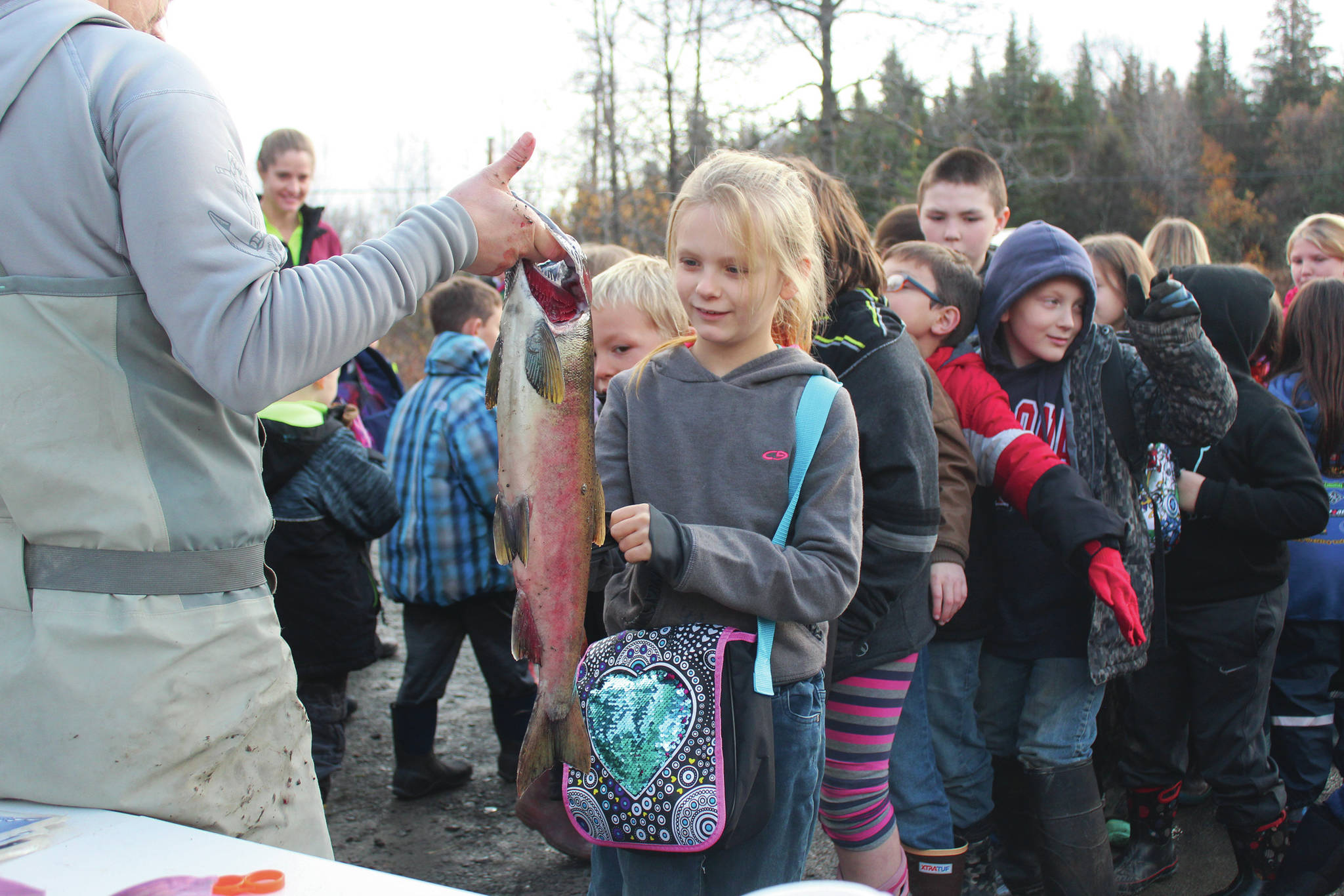 Elementary school students line up to touch a salmon during the annual egg take demonstration at the Anchor River on Thursday, Oct. 10, 2019 in Anchor Point, Alaska. Students leave the egg take event with fertilized salmon eggs to raise into fry throughout the year through the Salmon in the Classroom project hosted by the Alaska Department of Fish and Game, Sport Fish Division. (Photo by Megan Pacer/Homer News)