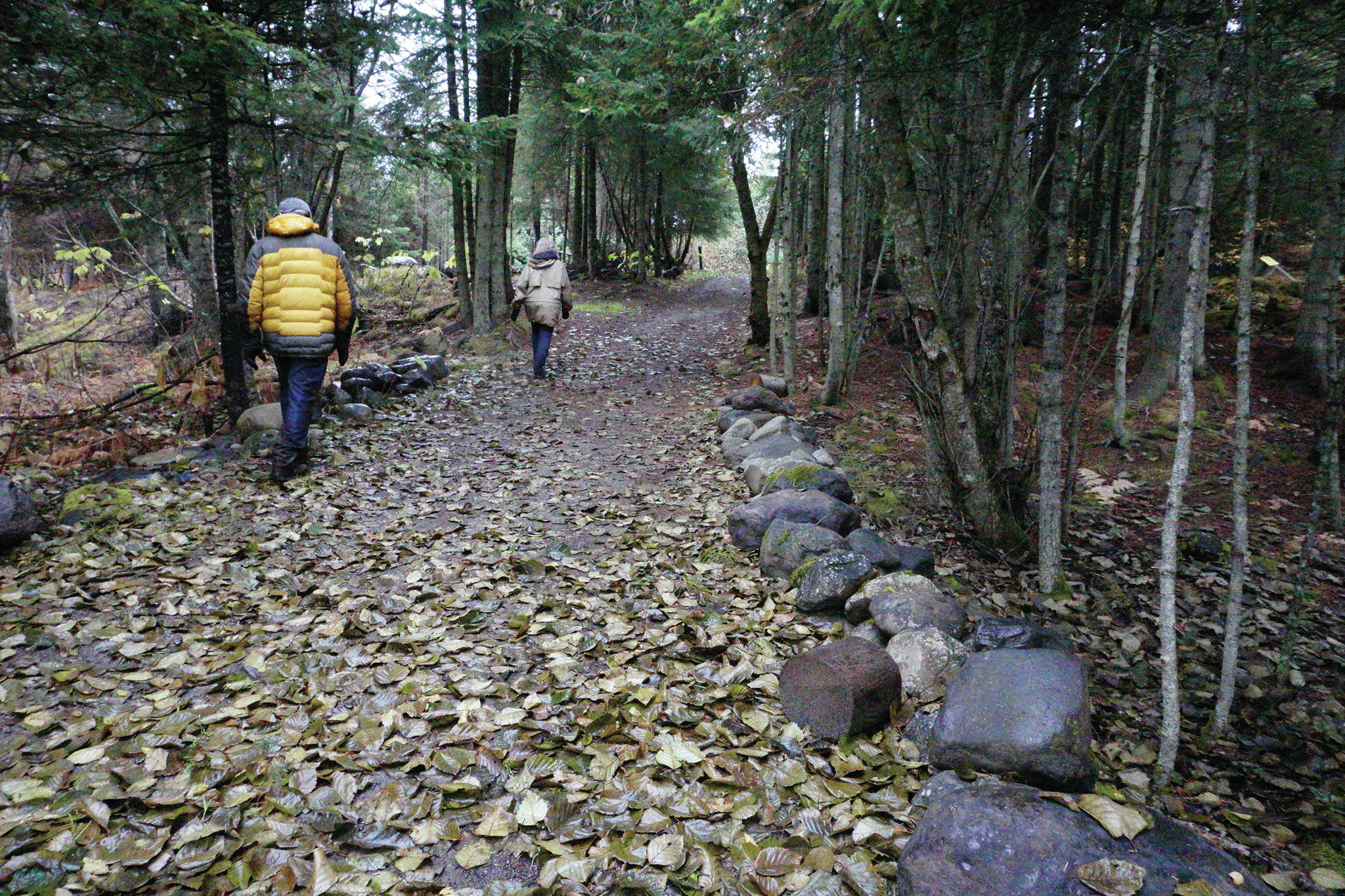 Volunteers on Sunday, Oct. 20, 2019, walk a path between the Homer Theatre and Bartlett Street while searching the woods off Main Street and Pioneer Avenue for Anesha “Duffy” Murnane, a Homer woman missing since Thursday, Oct. 17, 2019, in Homer, Alaska. (Photo by Michael Armstrong/Homer News)