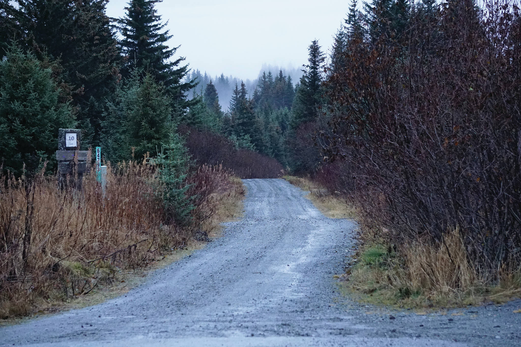 Homer Volunteer Fire Department and Kachemak Emergency Services medics met a bear mauling victim at the Homestead Trail parking lot on Diamond Ridge Road at the top of Nearly Level Road on Monday afternoon, Nov. 3, 2019, in Homer, Alaska. Nearly Level Road runs downhill from Diamond Ridge Road. The man had been hiking on trails near the bottom of Nearly Level. (Photo by Michael Armstrong/Homer News)