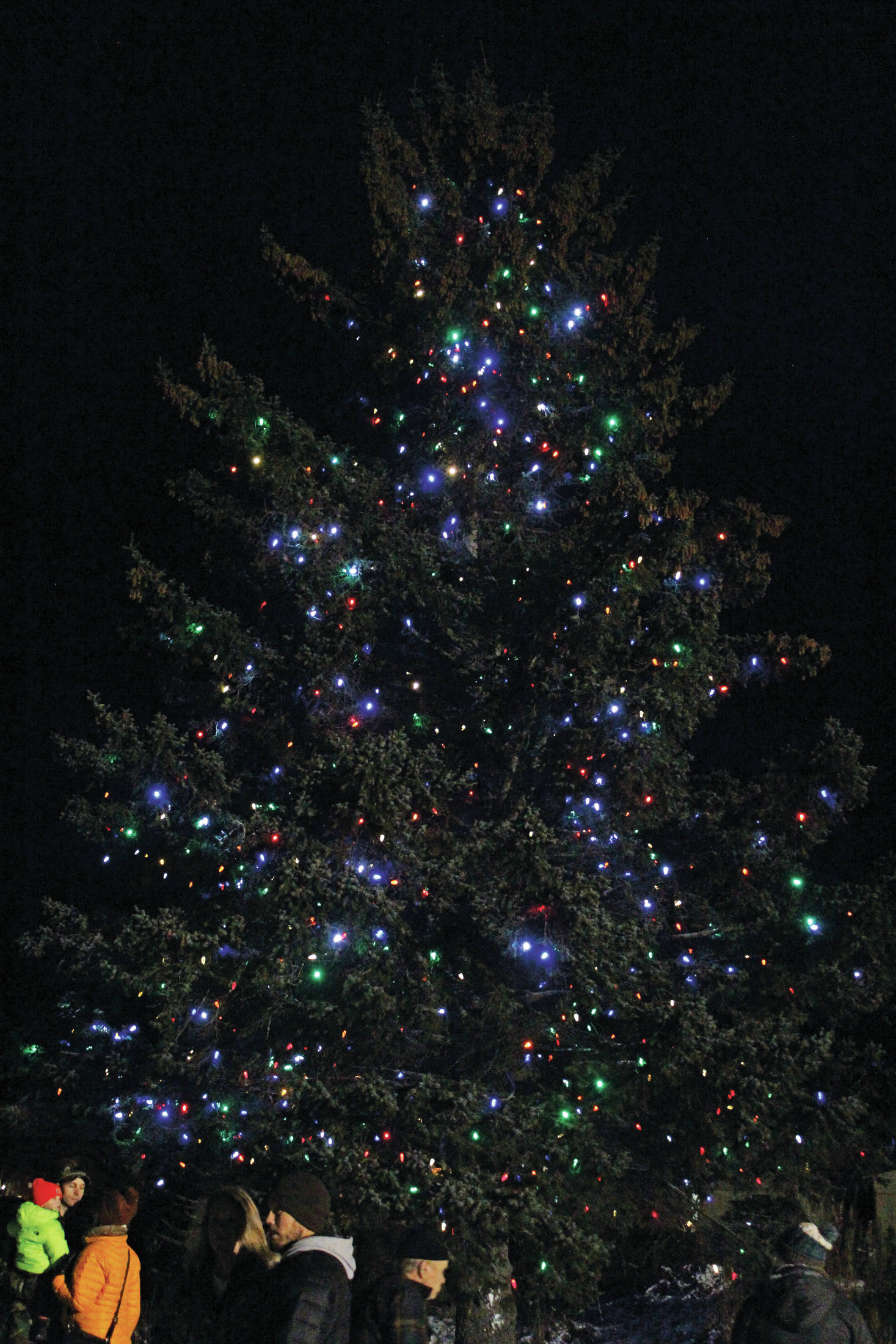 The holiday tree outside the Homer Chamber of Commerce and Visitor Center lights up for the first time this season on Thursday, Dec. 5, 2019 at the chamber and visitor center in Homer, Alaska. Mayor Ken Castner turned the lights on while community members enjoyed s’mores, hot chocolate and carols from the Homer Swing Choir. (Photo by Megan Pacer/Homer News)