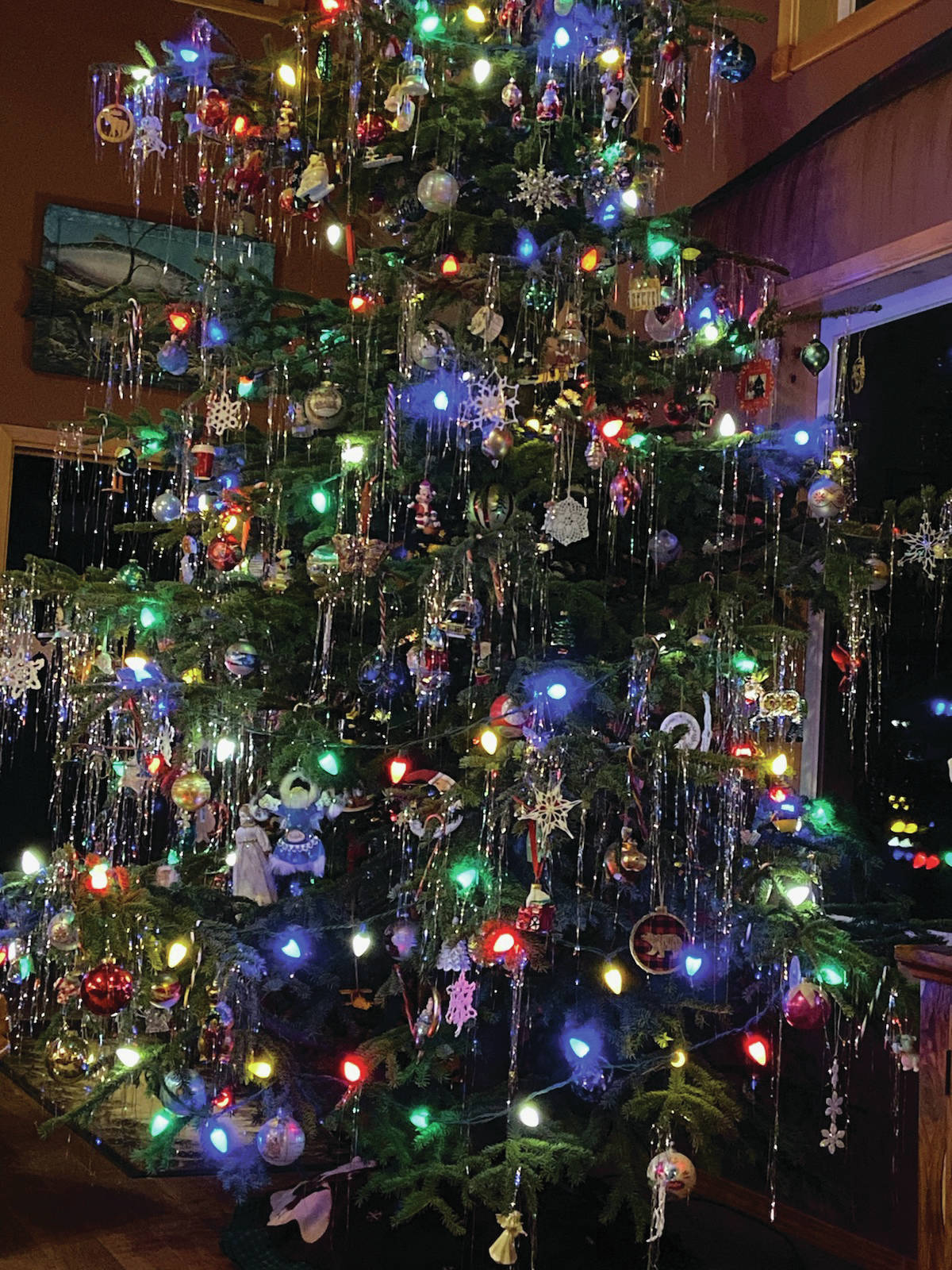 The Christmas tree at Teri Robl’s home brings some cheer to the holidays, as seen here in this photo taken Dec. 9, 2019, in Homer, Alaska. (Photo by Teri Robl)