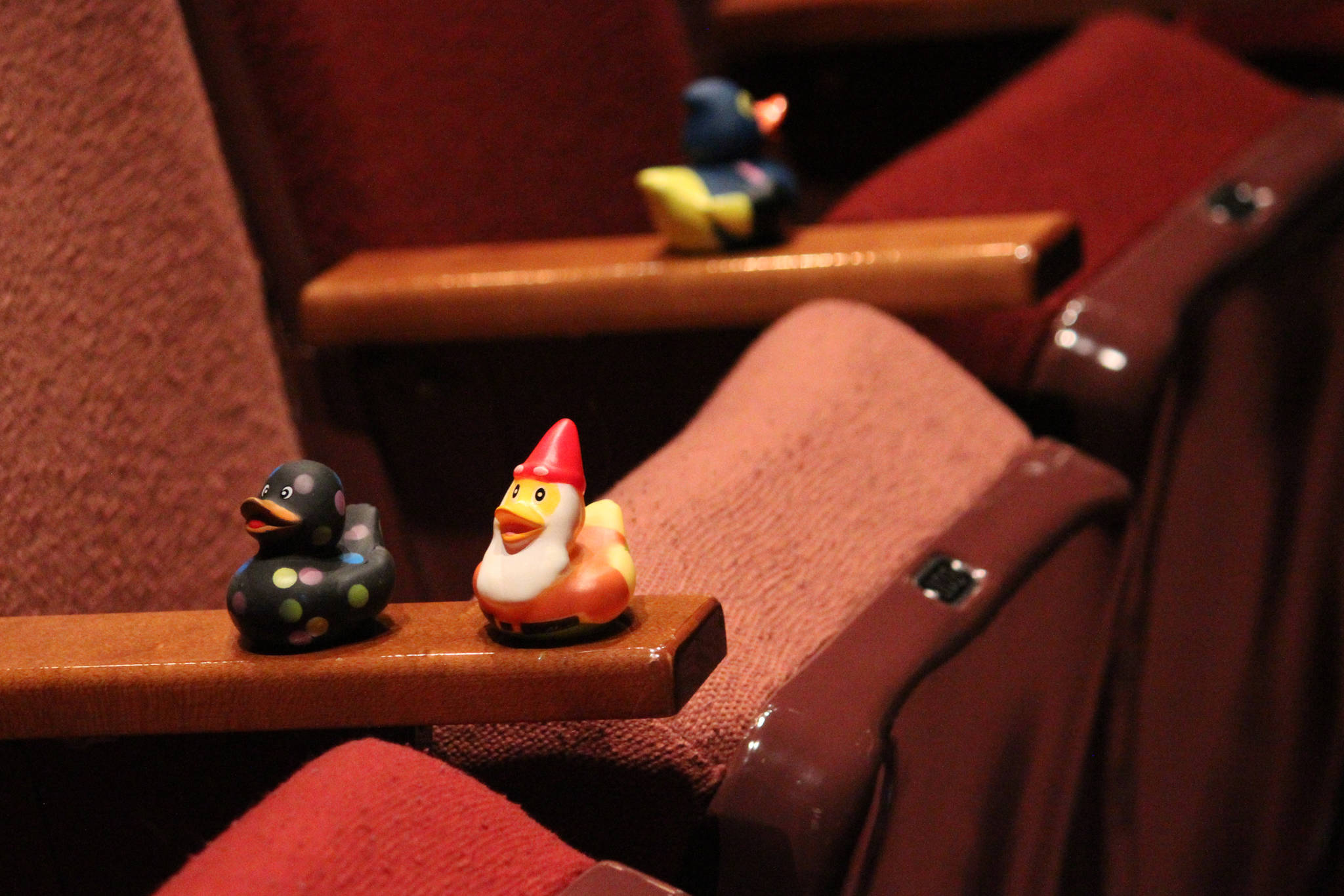 Rubber ducks adorn many of the seats in the Homer Mariner Theatre during a memorial for Gary Thomas on Sunday, Jan. 19, 2020 at Homer High School in Homer, Alaska. Thomas, a community volunteer and volunteer firefighter for more than 40 years, had an affinity for ducks. (Photo by Megan Pacer/Homer News)