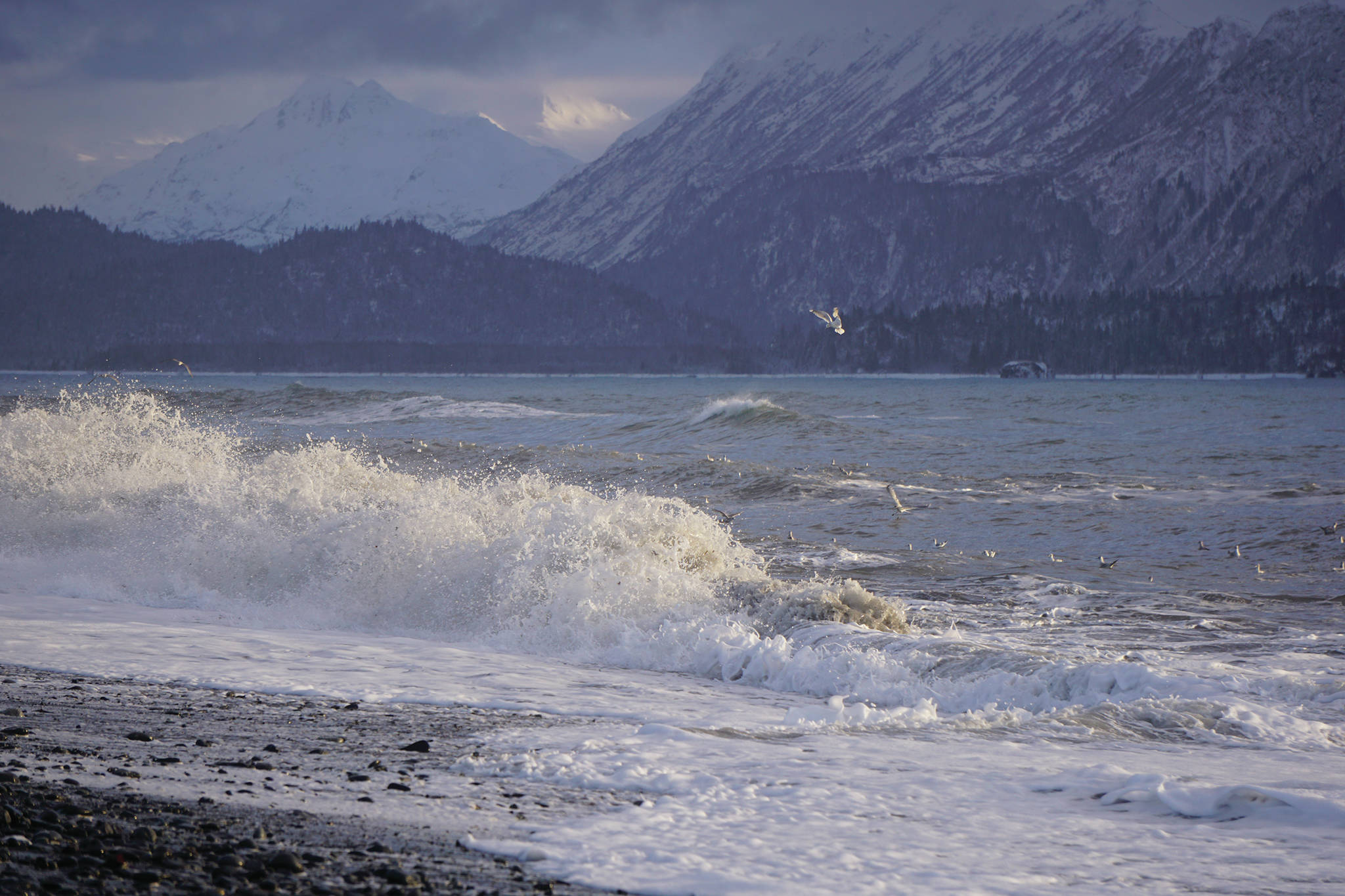 Waves pound the Homer Spit by the Seafarers Memorila on Jan. 30, 2020, in Homer, Alaska. (Photo by MIchael Armstrong/Homer News)
