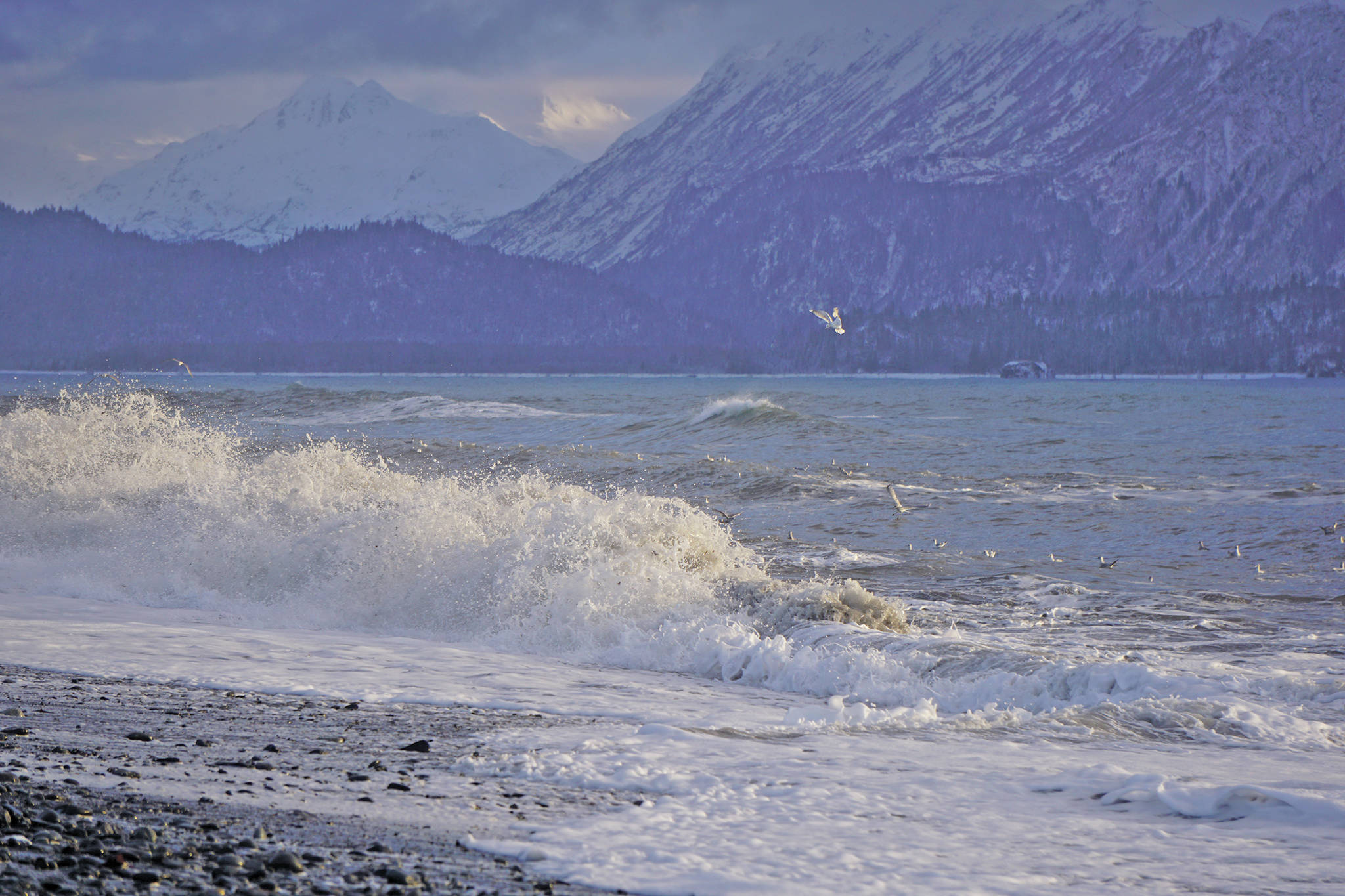 Waves pound the Homer Spit by the Seafarers Memorila on Jan. 30 in Homer. (Photo by MIchael Armstrong/Homer News)