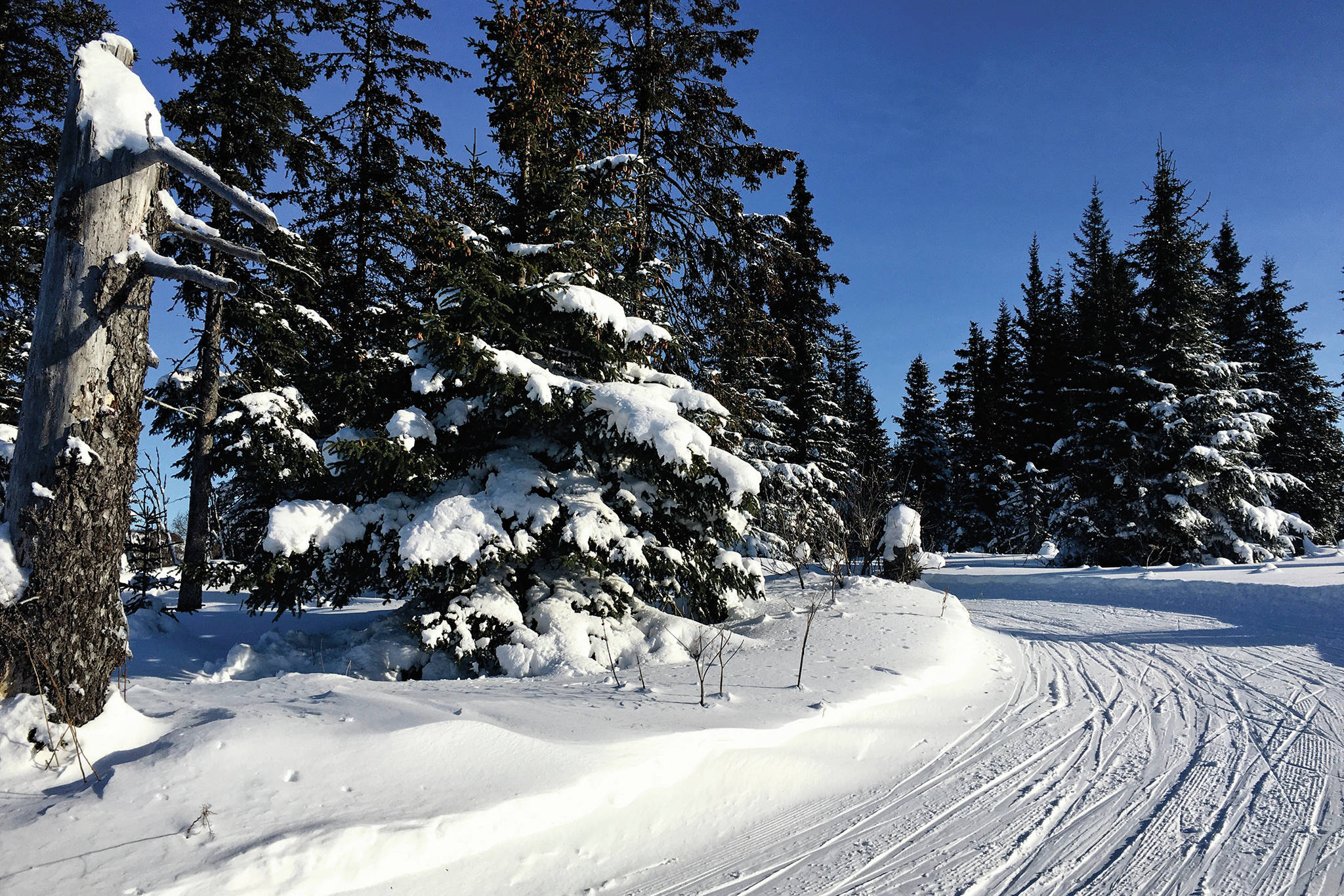 Sun shines on the trails on the Hayfield Loop at the Lookout Mountain Trails on Monday, Feb. 24, 2020 during a bluebird day on Ohlson Mountain Road near Homer, Alaska. (Photo by Megan Pacer/Homer News)
