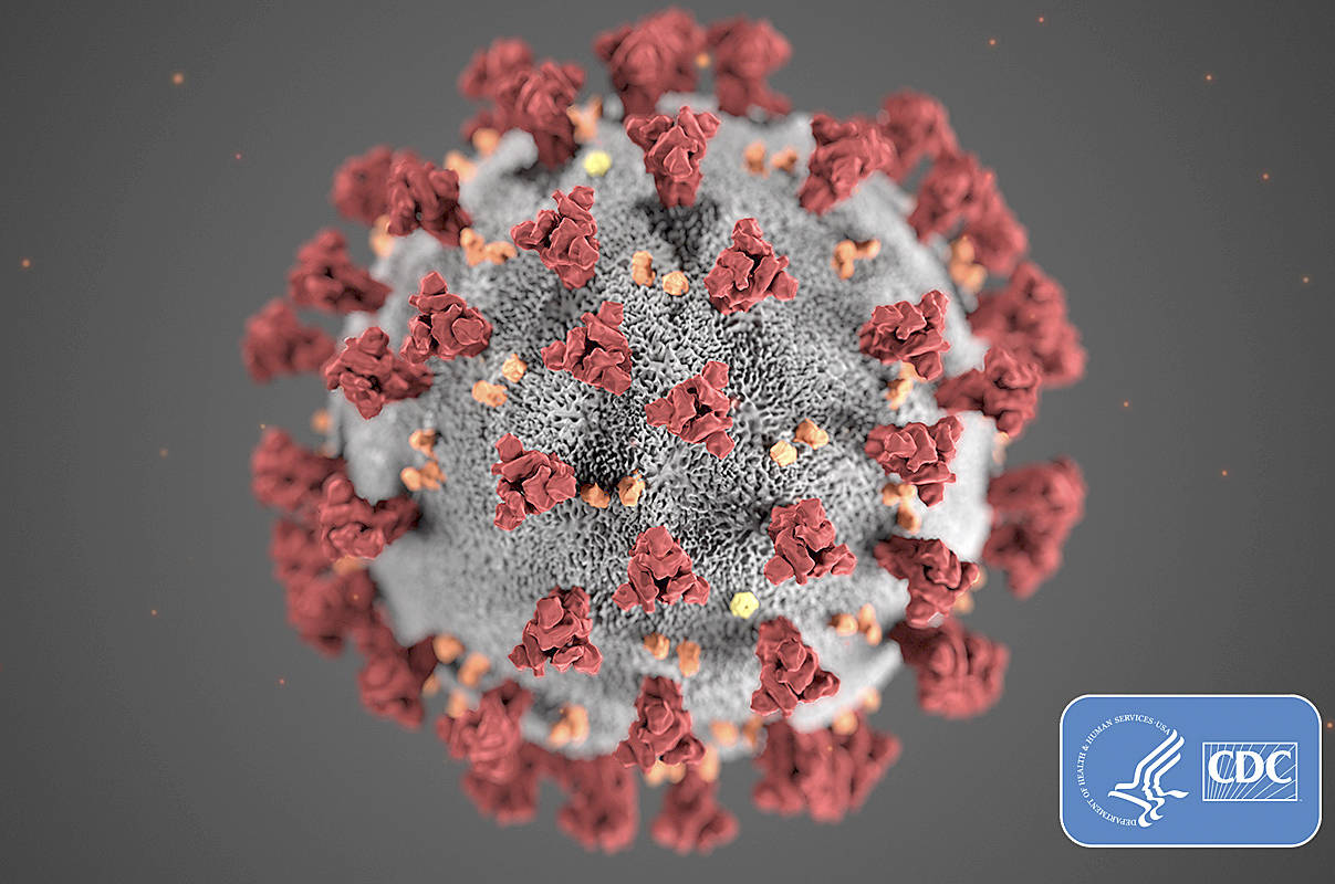 background image from CDC for print design — MJF                                A model of the novel coronavirus COVID-19. (Graphic by Centers for Disease Control)