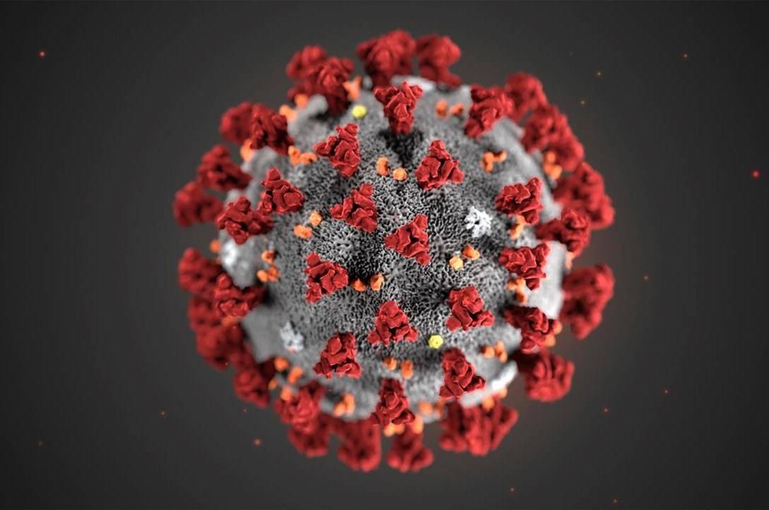 FILE - In this illustration provided by the Centers for Disease Control and Prevention (CDC) in January 2020 shows the 2019 Novel Coronavirus (2019-nCoV). This virus was identified as the cause of an outbreak of respiratory illness first detected in Wuhan, China. A woman in the San Francisco Bay Area who became ill after returning from a trip to China has become the ninth person in the U.S. to test positive for a new virus, health authorities said Sunday, Feb. 2, 2020. (CDC via AP, File)                                In this illustration provided by the Centers for Disease Control and Prevention (CDC) in January 2020 shows the 2019 Novel Coronavirus (2019-nCoV). (CDC via AP, File)