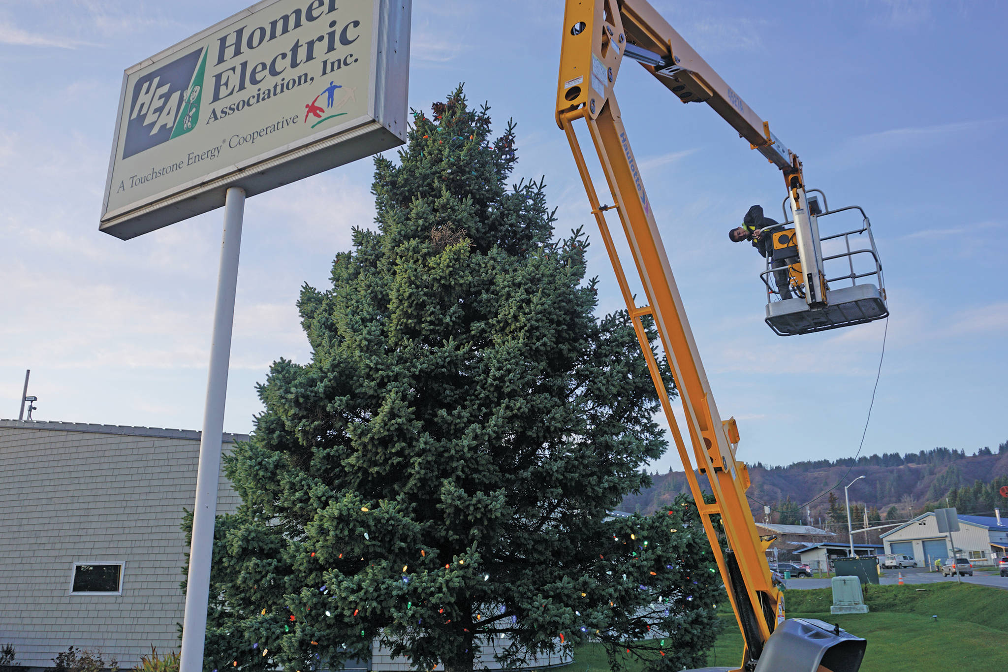 Nathan Simpson of Dutch Boy Landscaping on Nov. 14, 2019, installs colored lights on the tree by Homer Electric Association in Homer, Alaska. The big tree by HEA is one of Homer’s landmark holiday decorated trees. (Photo by Michael Armstrong/Homer News)