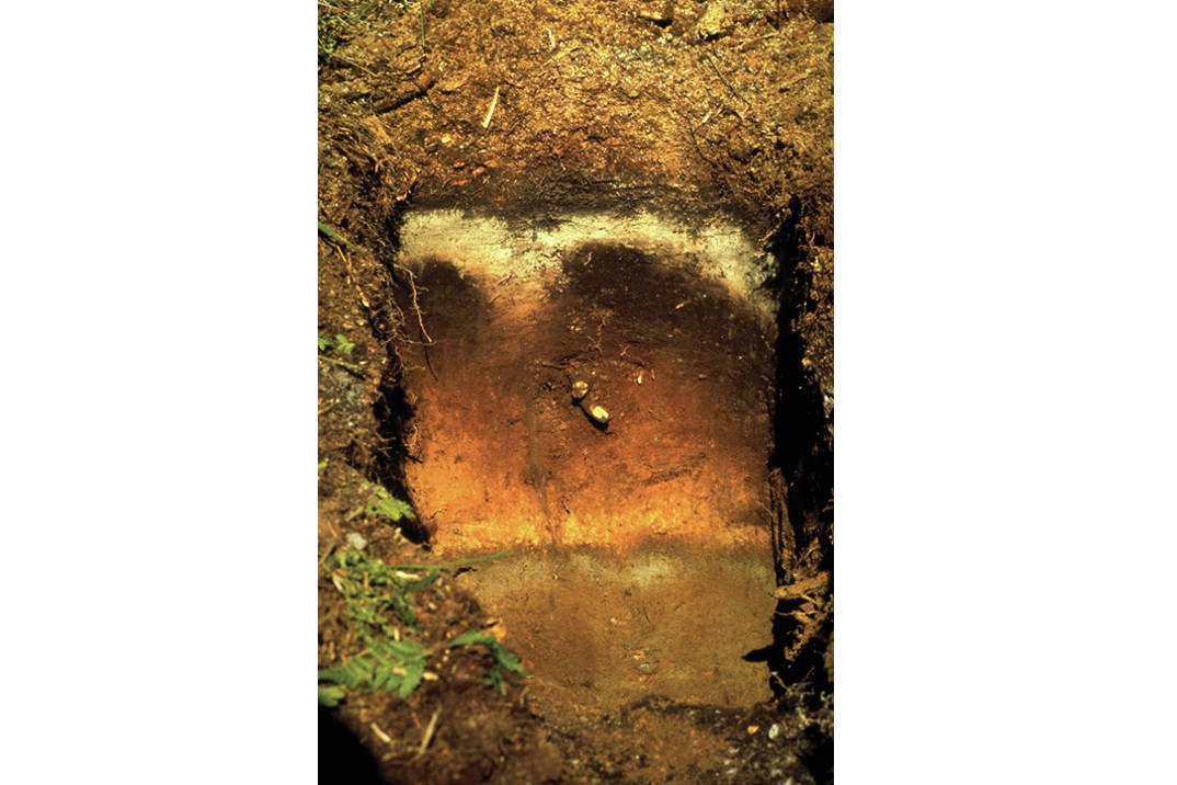 A soils primer for Homer: Mutnala soils are most photogenic
