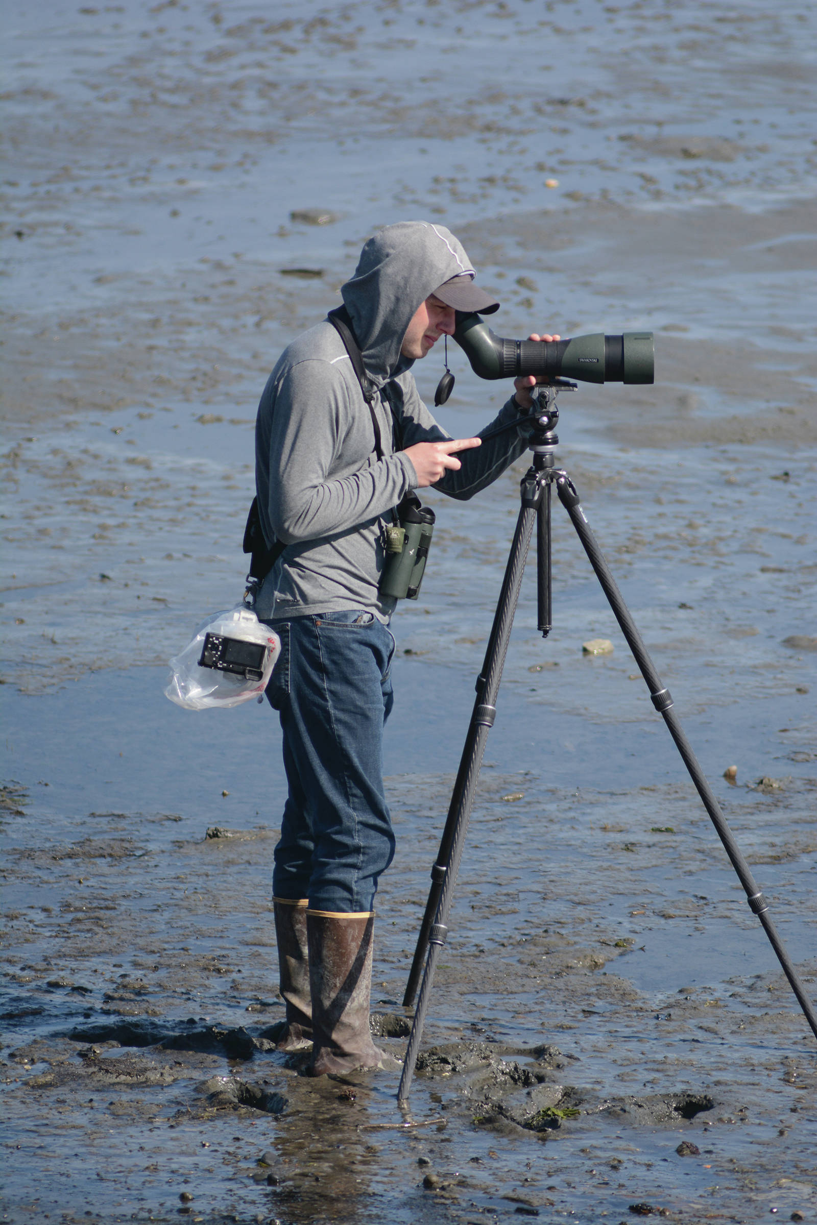 A birder looks for shorebirds on Saturday, May 2, 2020, on the Homer Spit near Mud Bay in Homer, Alaska. (Photo by Michael Armstrong/Homer News)