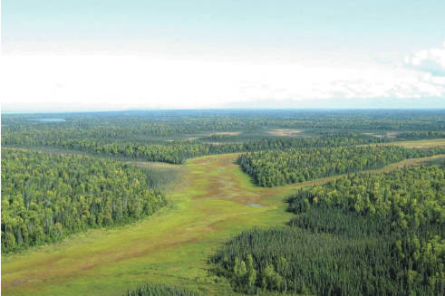 A soils primer for Homer: Starichkof soils are the bogs and fens of Alaska