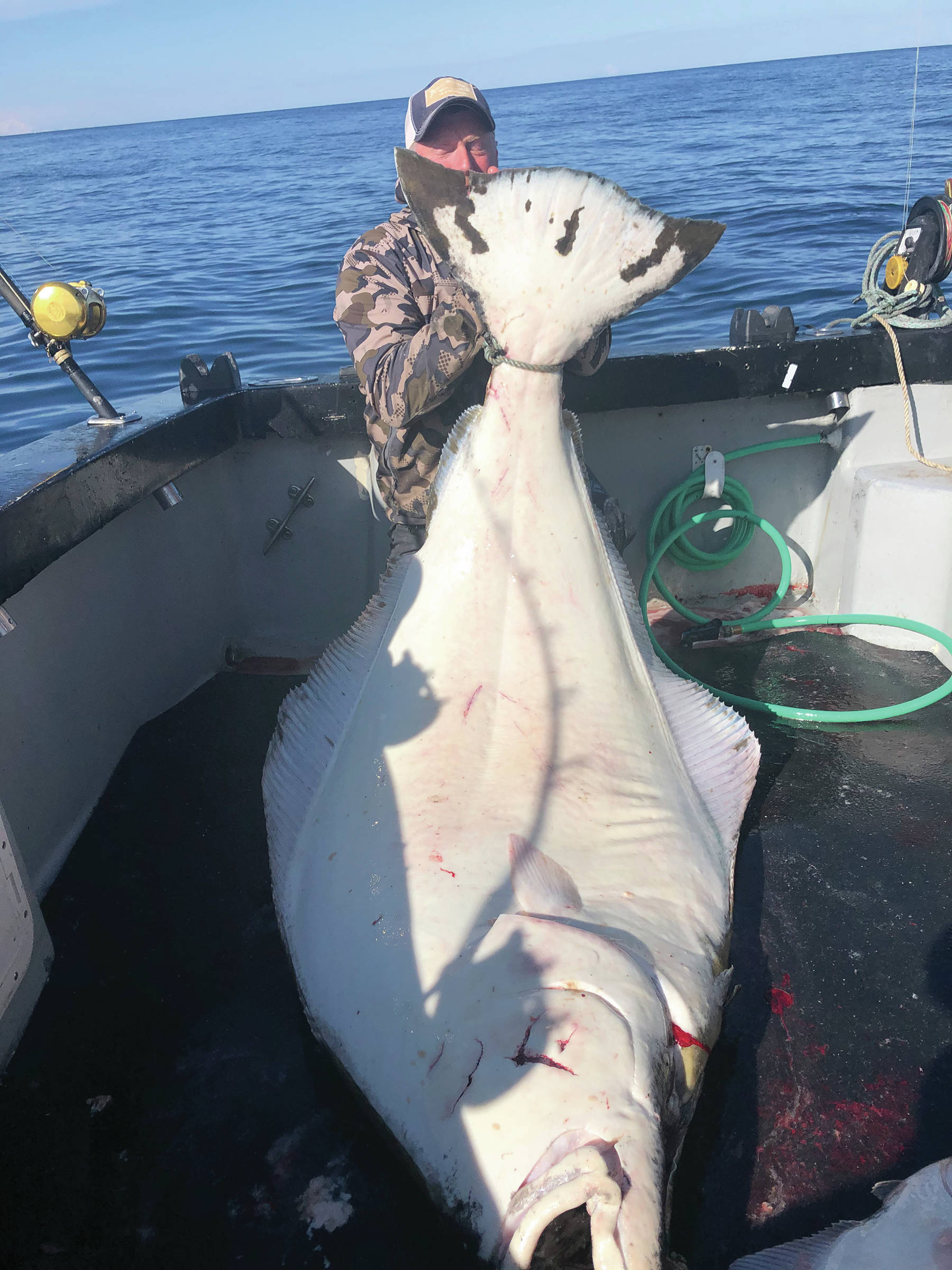 Chris Giegerich holds a monster halibut he caught on the F/V Huntress with Capt. Josh Brooks on May 3, 2020, while fishing in lower Cook Inlet, Alaska, with his family. (Photo courtesy of Joleen Brooks, F/V Huntress)