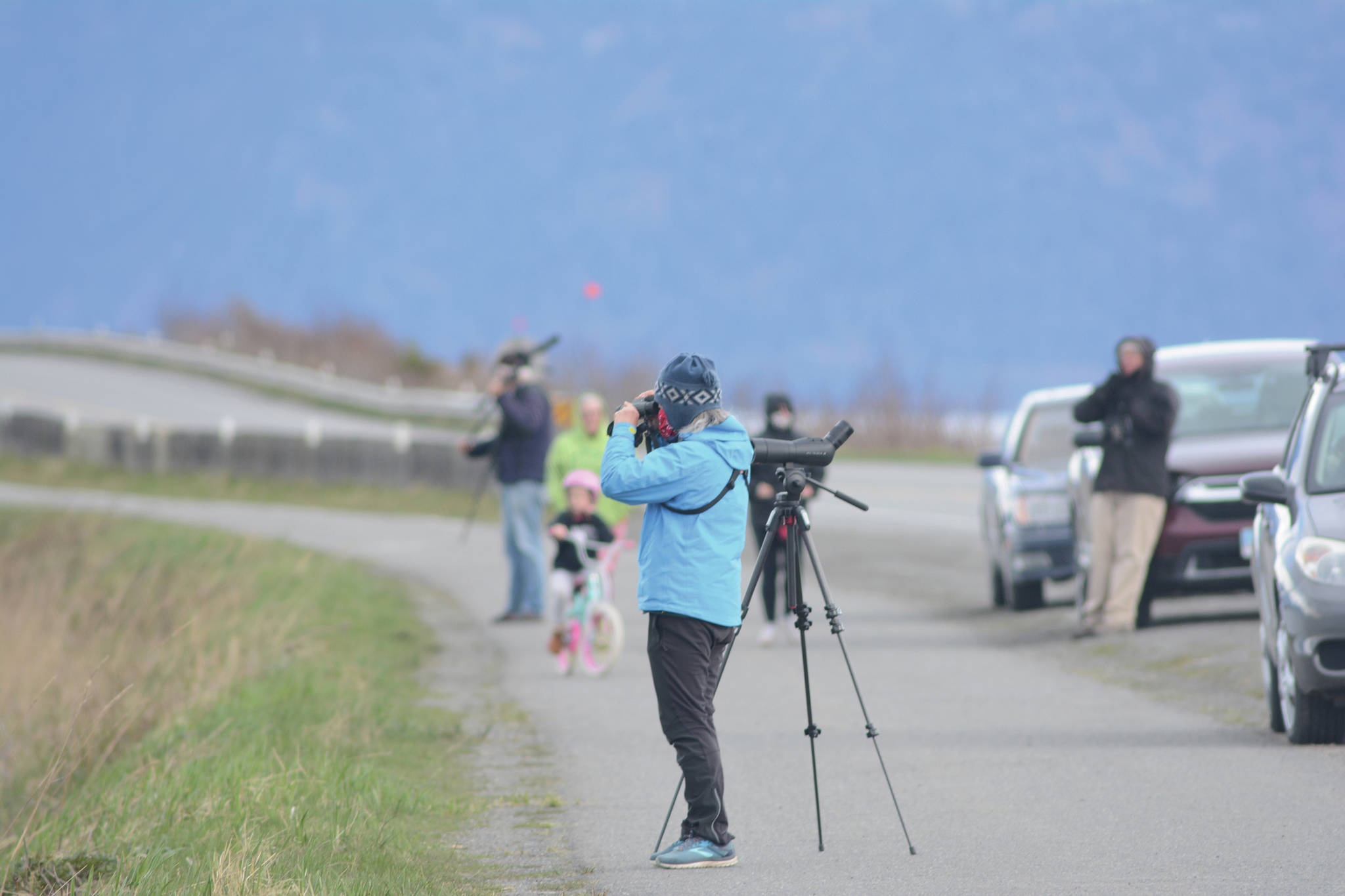 Birders look for shorebirds at Mud Bay on Friday, May 8, 2020, on the Homer Spit in Homer, Alaska. (Photo by Michael Armstrong/Homer News)