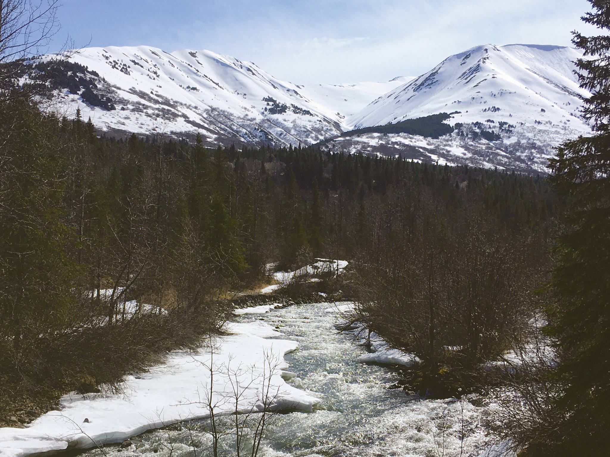 Mills Creek on April 29, 2020 in the pass between Cooper Landing and the Turnagain Arm. (Photo by Jeff Helminiak)