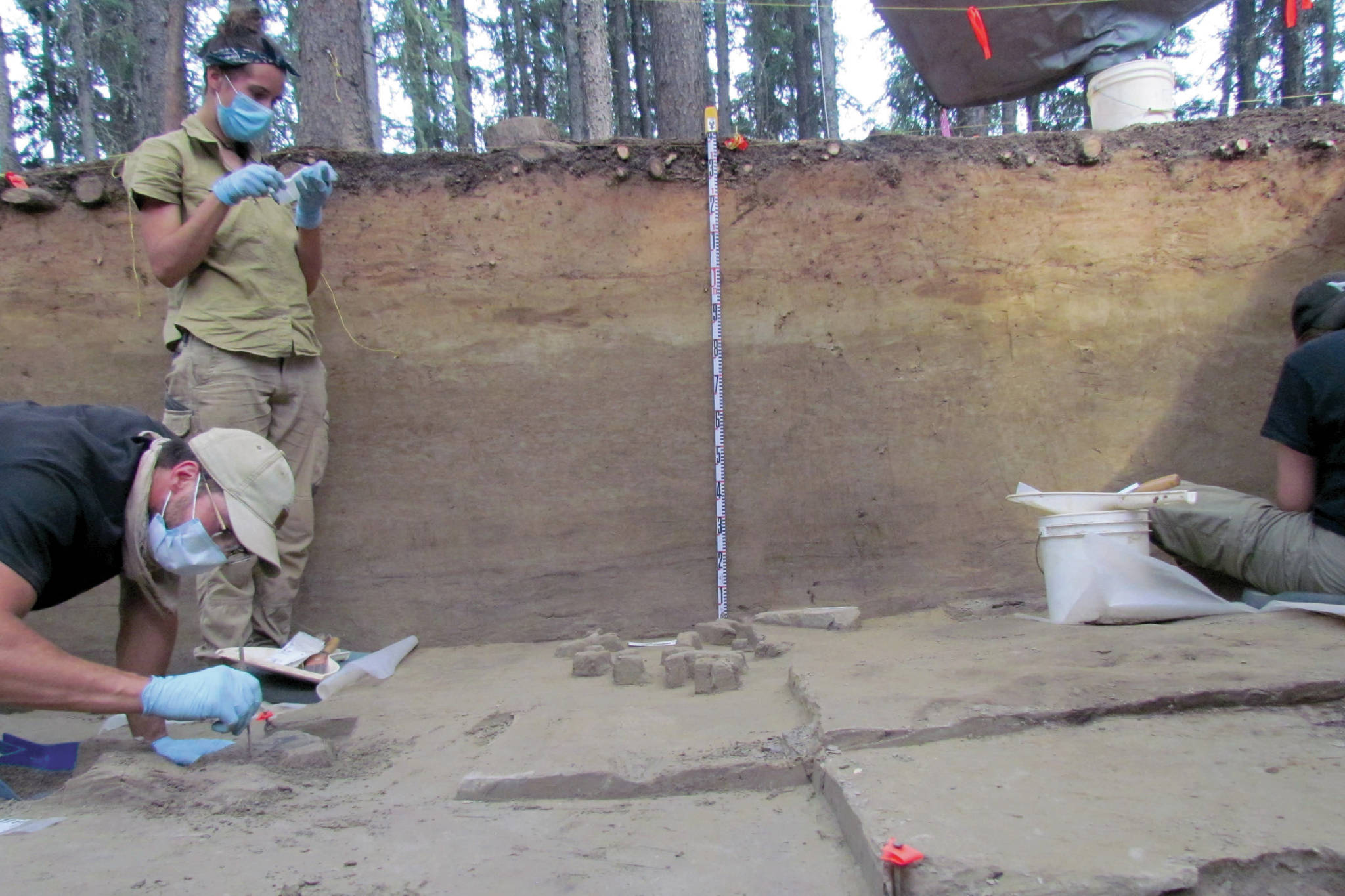 Archaeology students participate in a dig near Delta Junction, Alaska, conducted by Dr. Kate Krazinski and Dr. Brian Wygal of Adelphi University in summer 2019. (Photo provided by Kenai National Wildlife Refuge)