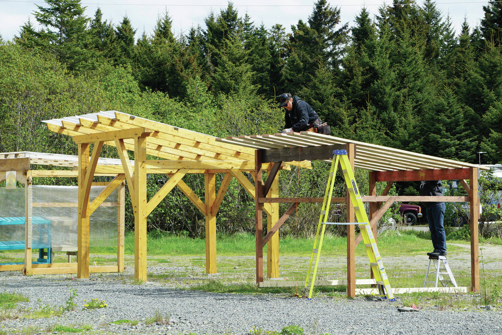 Dave Pleznac works on the roof of the Snowshoe Hollow Farm booth while his wife, Christina Castellanos, helps on Monday, May 25, 2020, at the Homer Farmers Market in Homer, Alaska. The market opens on Saturday, May 30, on Ocean Drive in Homer, Alaska. (Photo by Michael Armstrong/Homer News0