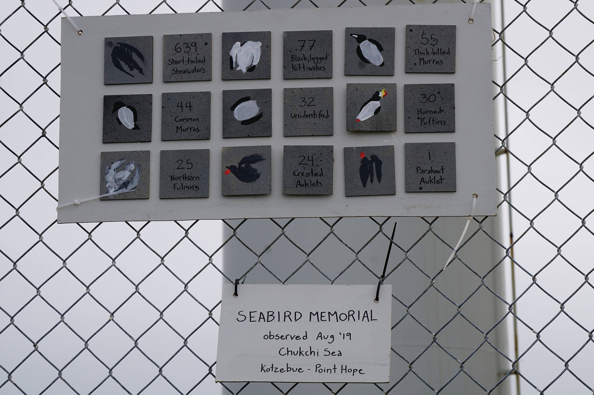 Artist honors dead seabirds in Homer Spit project