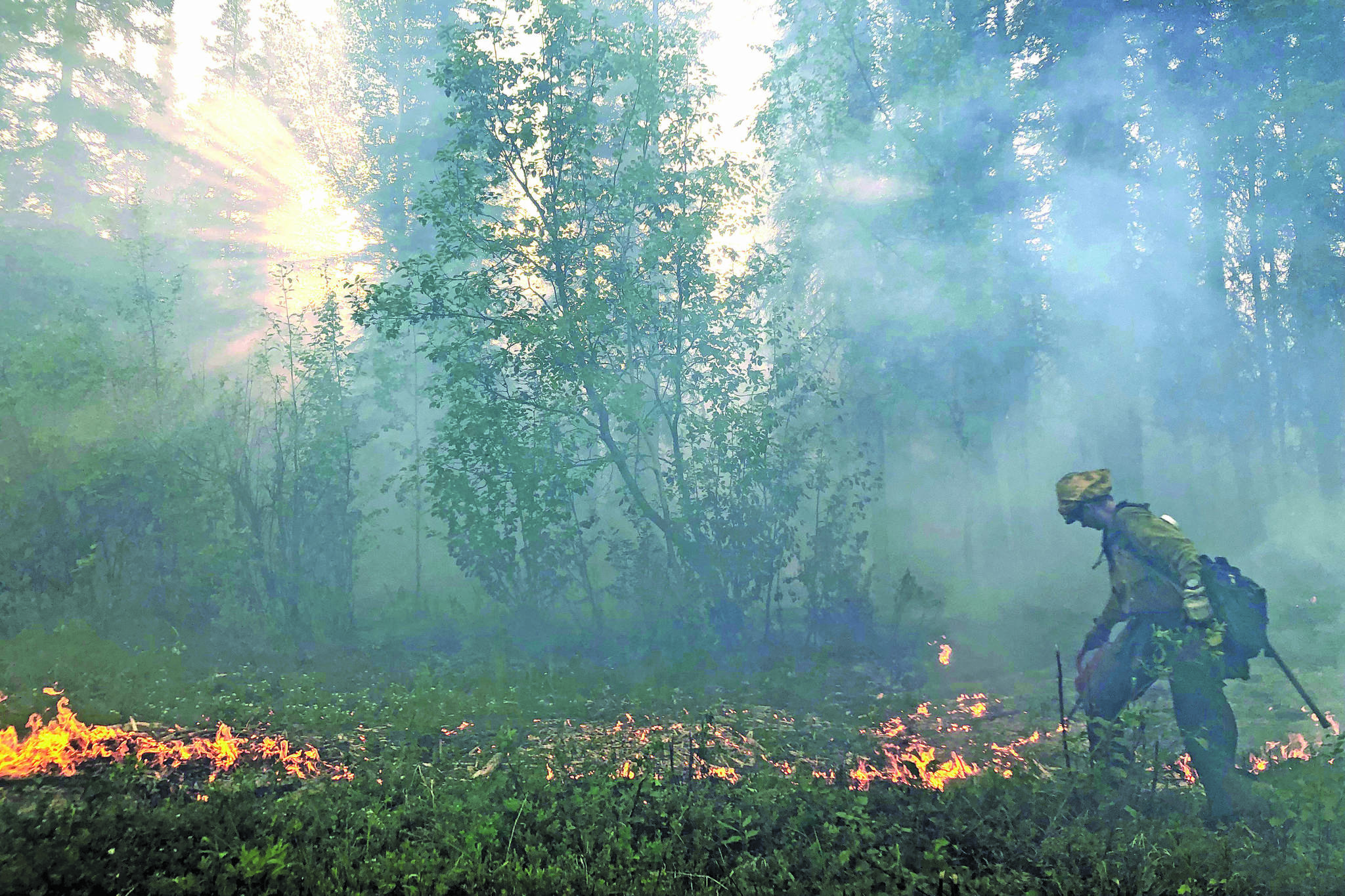 Alaska Division of Forestry                                A member of the Gannet Glacier Type 2 Initial Attack Crew uses a drip torch during a burnout operation at the Swan Lake Fire on June 18.
