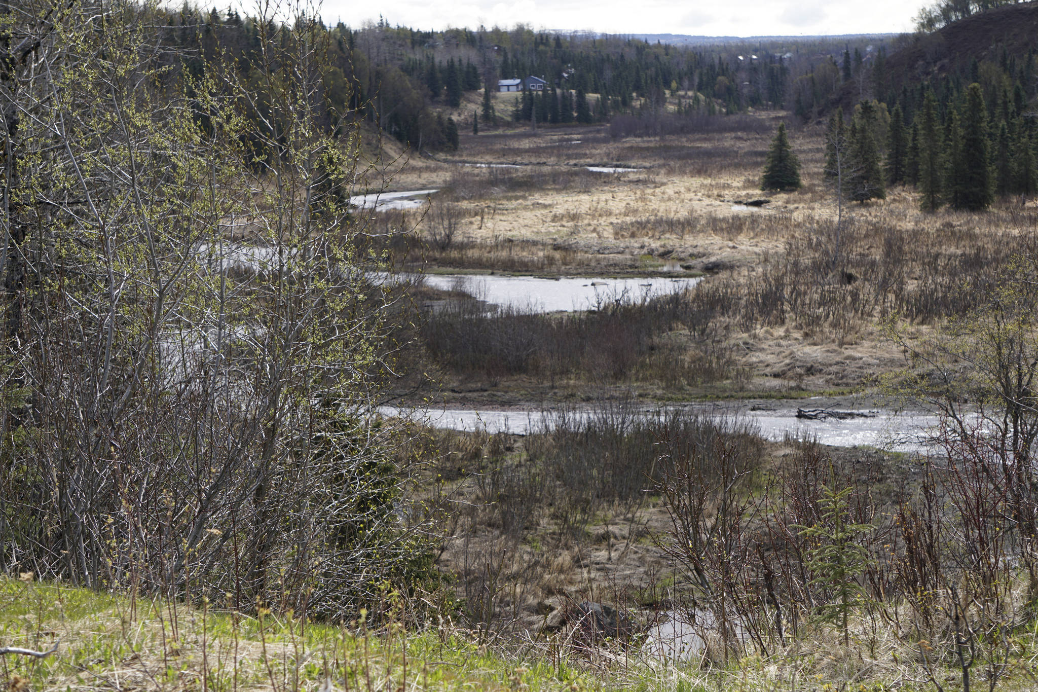 The Ninilchik River on May 18, 2019, in Ninilchik, Alaska. (Photo by Michael Armstrong/Homer News)