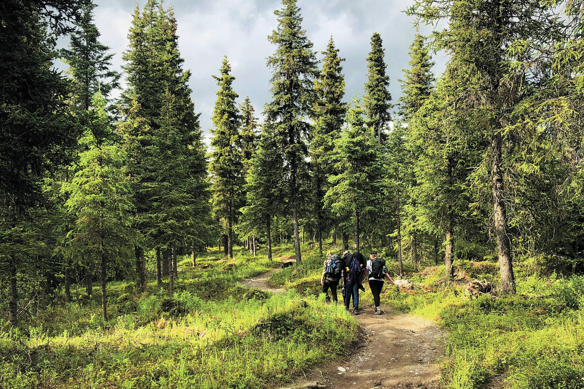 A group of friends hikes along the Resurrection Pass Trail on June 26, 2020 in Cooper Landing, Alaska. (Photo by Megan Pacer/Homer News)