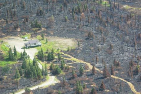 It pays to Firewise. This structure survived the 2007 Caribou Hills Fire. (Photo provided by Kenai National Wildlife Refuge)