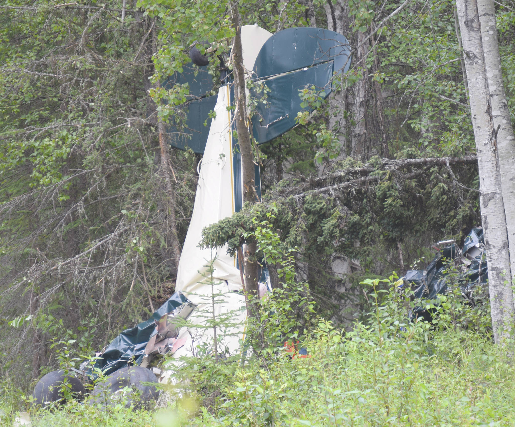 Jeff Helminiak / Peninsula Clarion                                One of the planes involved in the midair collision that killed seven people, including state Rep. Gary Knopp, rests in the woods just off Mayoni Street outside Soldotna on Friday.