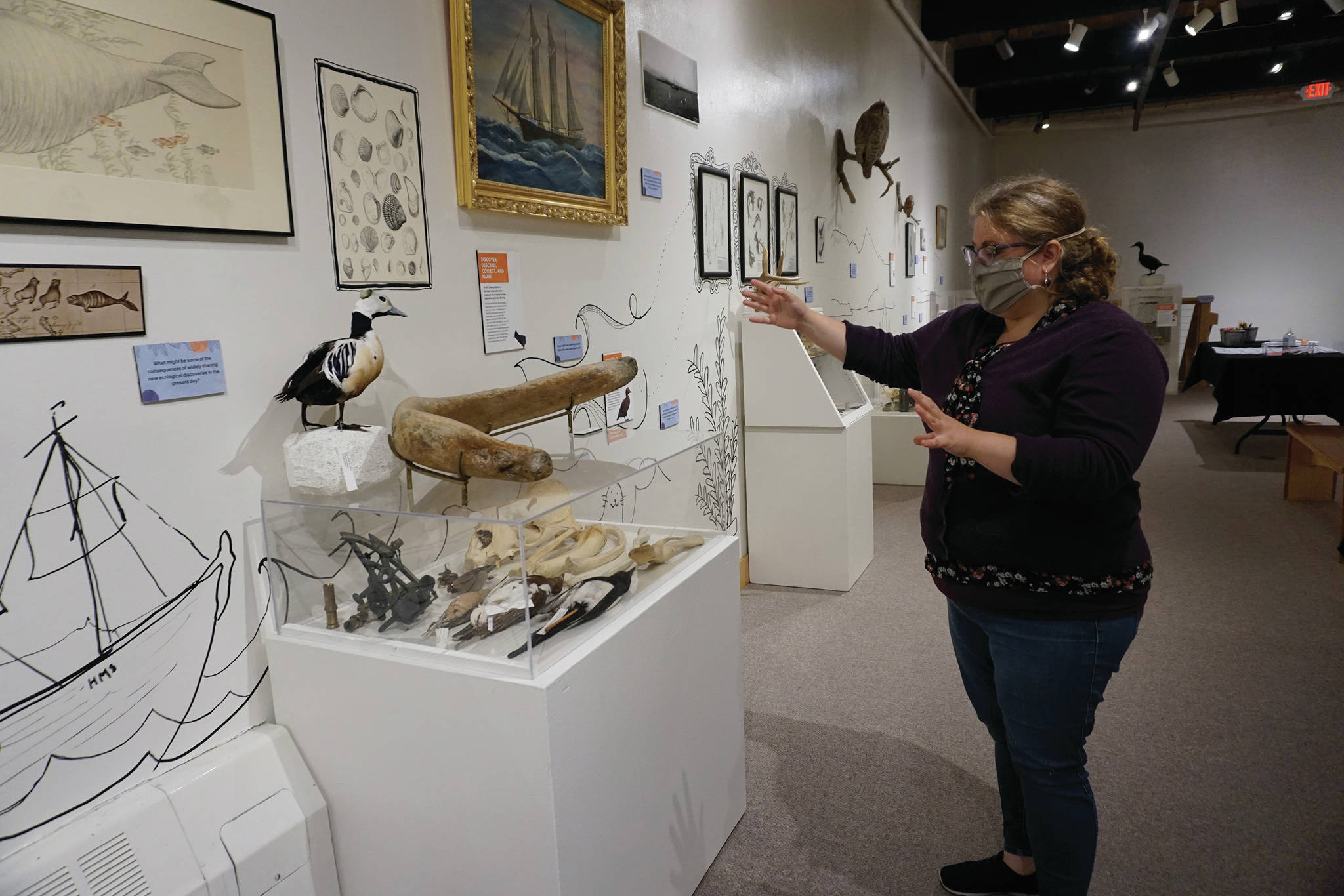 Pratt Museum Curator Savanna Bradley discusses “Entangled: Exploring Natural History Collections from Kachemak Bay,” on July 13, 2020, at the Pratt Museum in Homer, Alaska. (Photo by Michael Armstrong/Homer News)